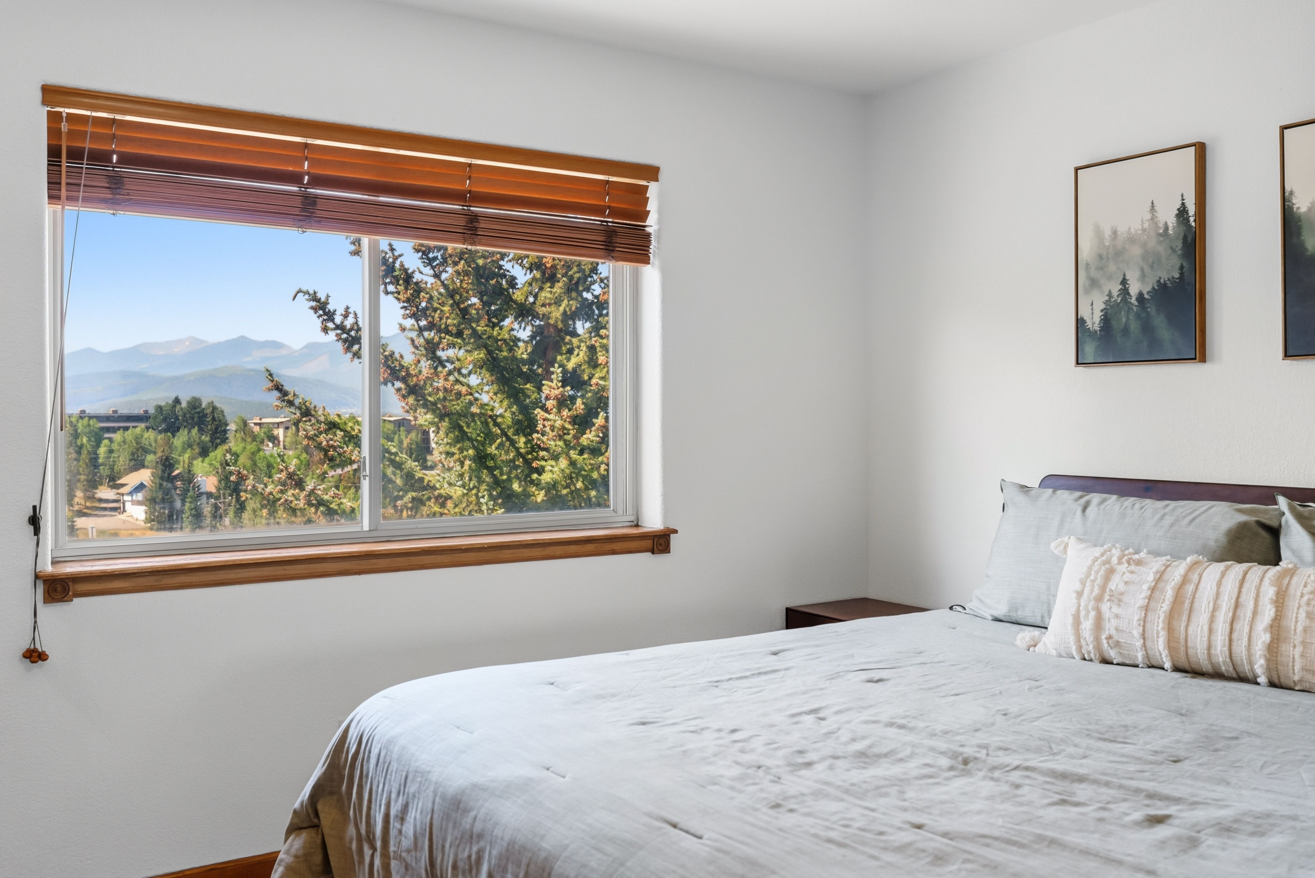  15 Lookout Ridge Drive, Dillon, CO, 80435 - 物件實景
