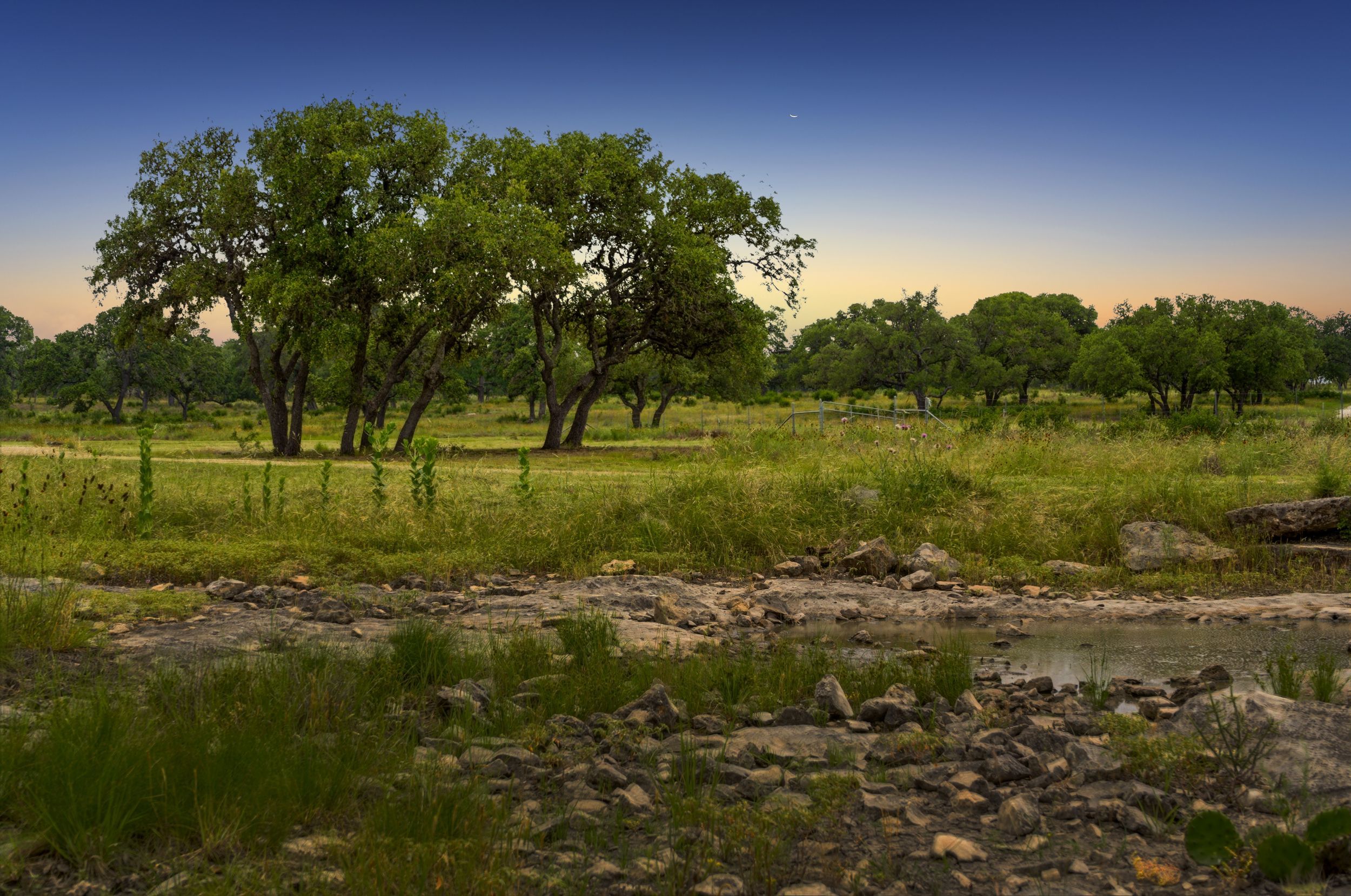  Rolling Oaks Ranch: The Pinnacle of Private Estate Living - 物件實景