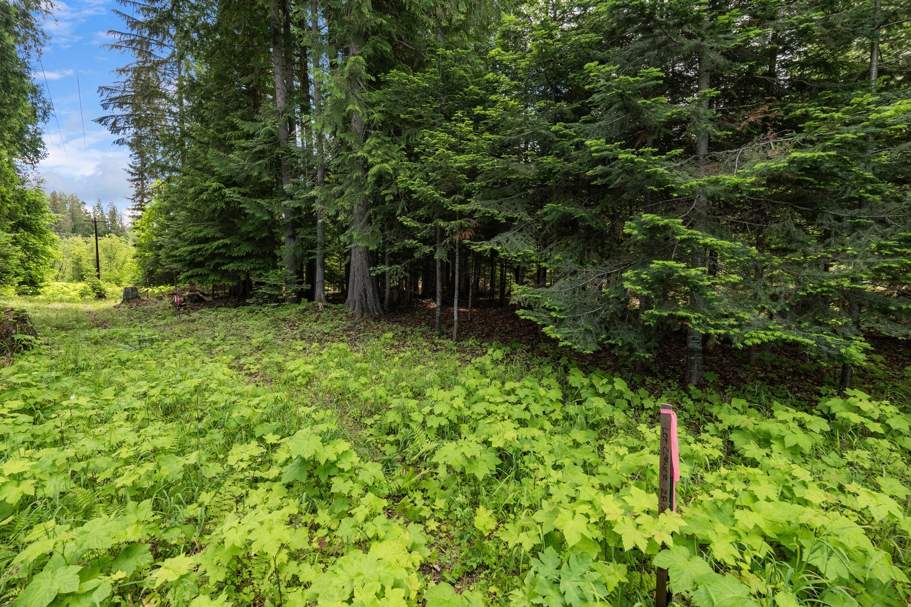  Priest Lake Building Lots - 物件實景