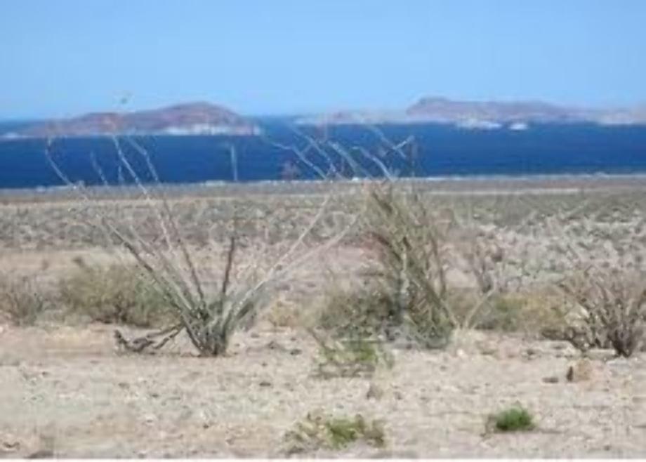 Bahia de los Angeles, Ensenada, Baja California, 22980, Mexico, 1 Bedroom Bedrooms, ,Residential,For Sale,Bahia de los Angeles,1444508
