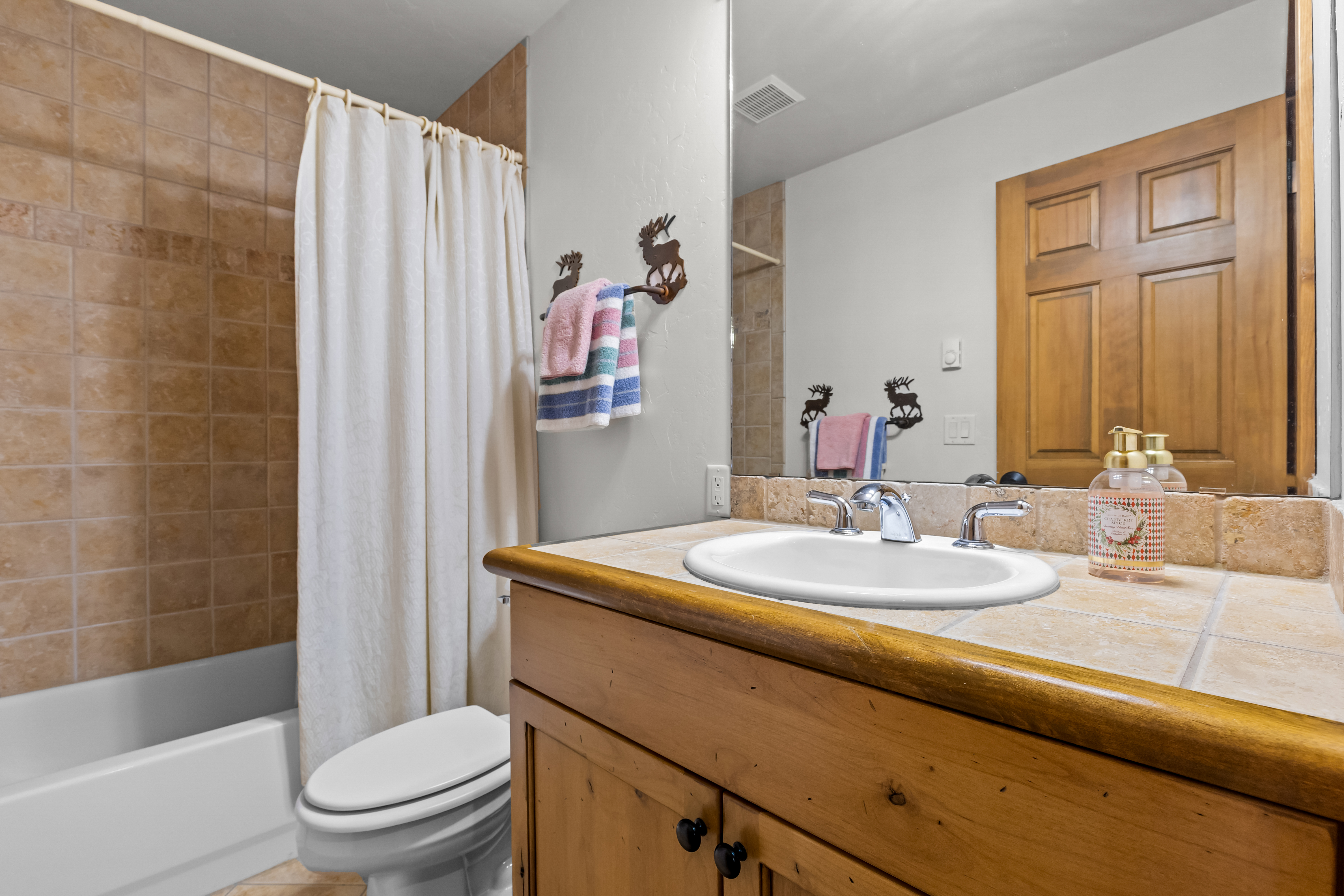  1915 Alpine Plaza, Steamboat Springs, CO, 80487 - 物件實景