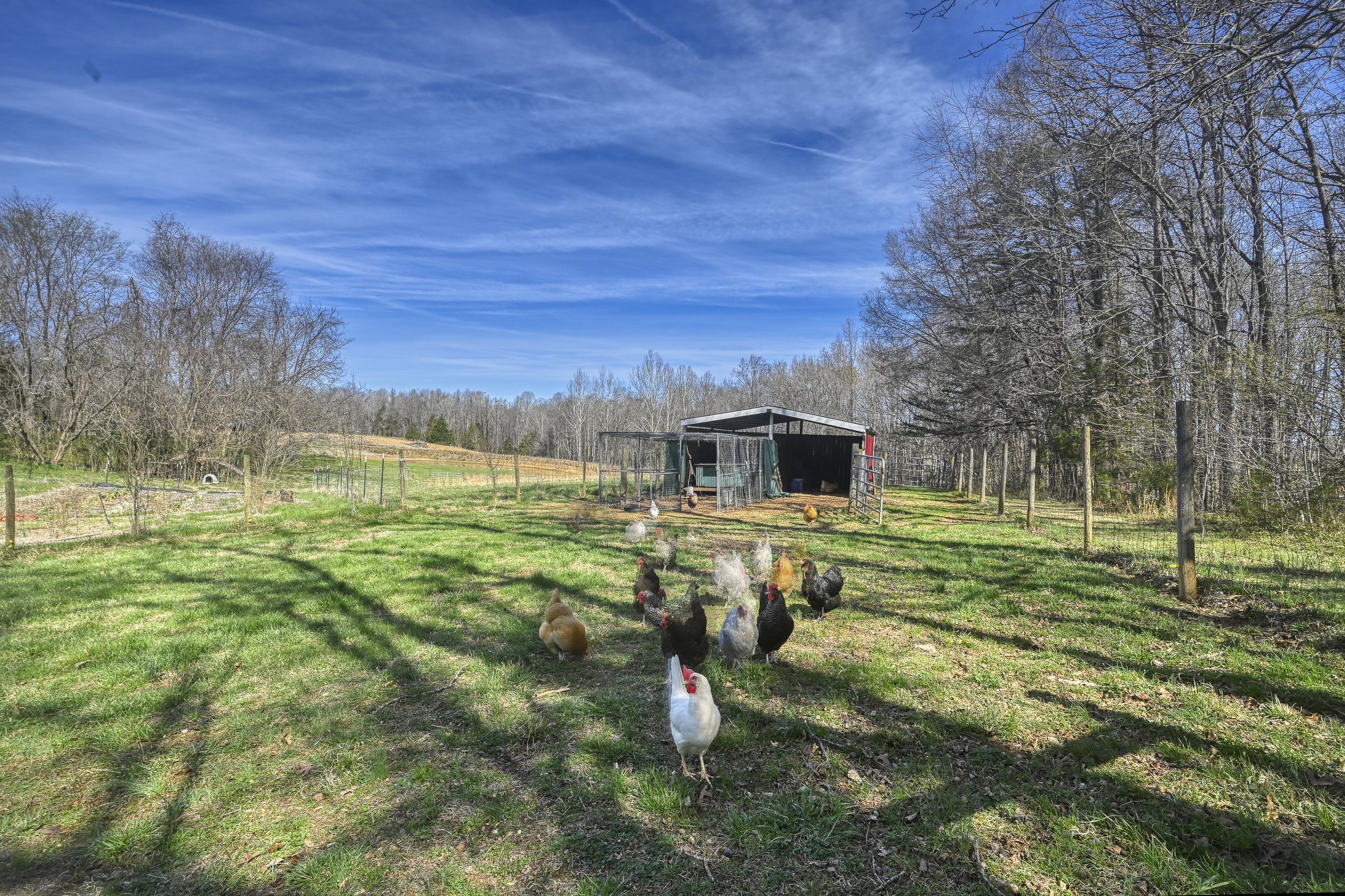  1399 Apple Grove Road, Mineral, VA 23117 - 物件實景