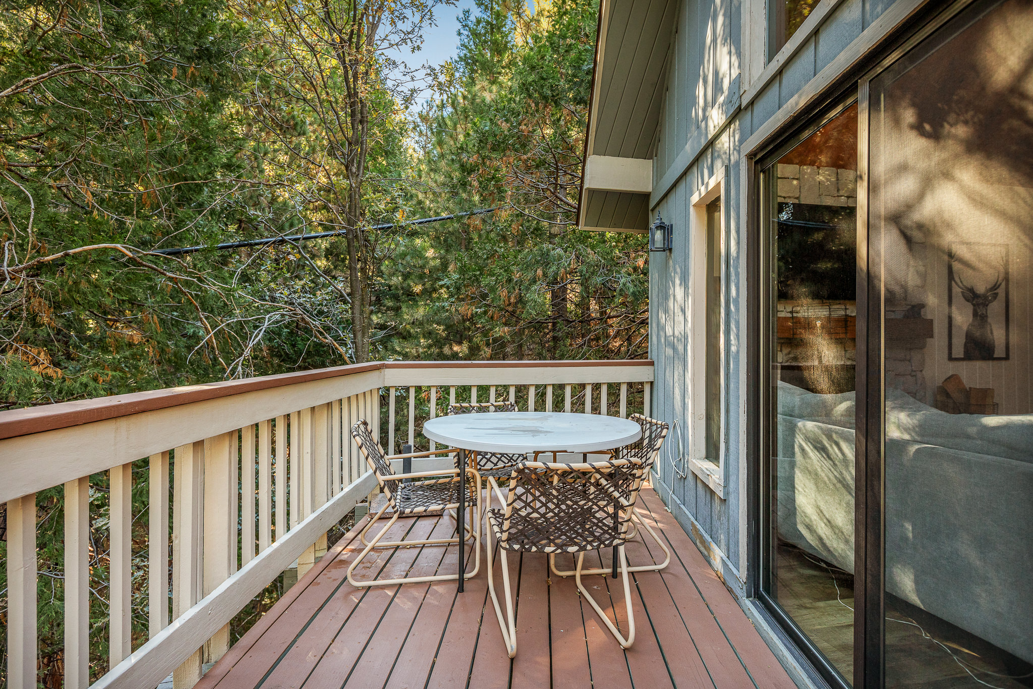  27332 Pinewood Drive, Lake Arrowhead, CA 92352 - 物件實景