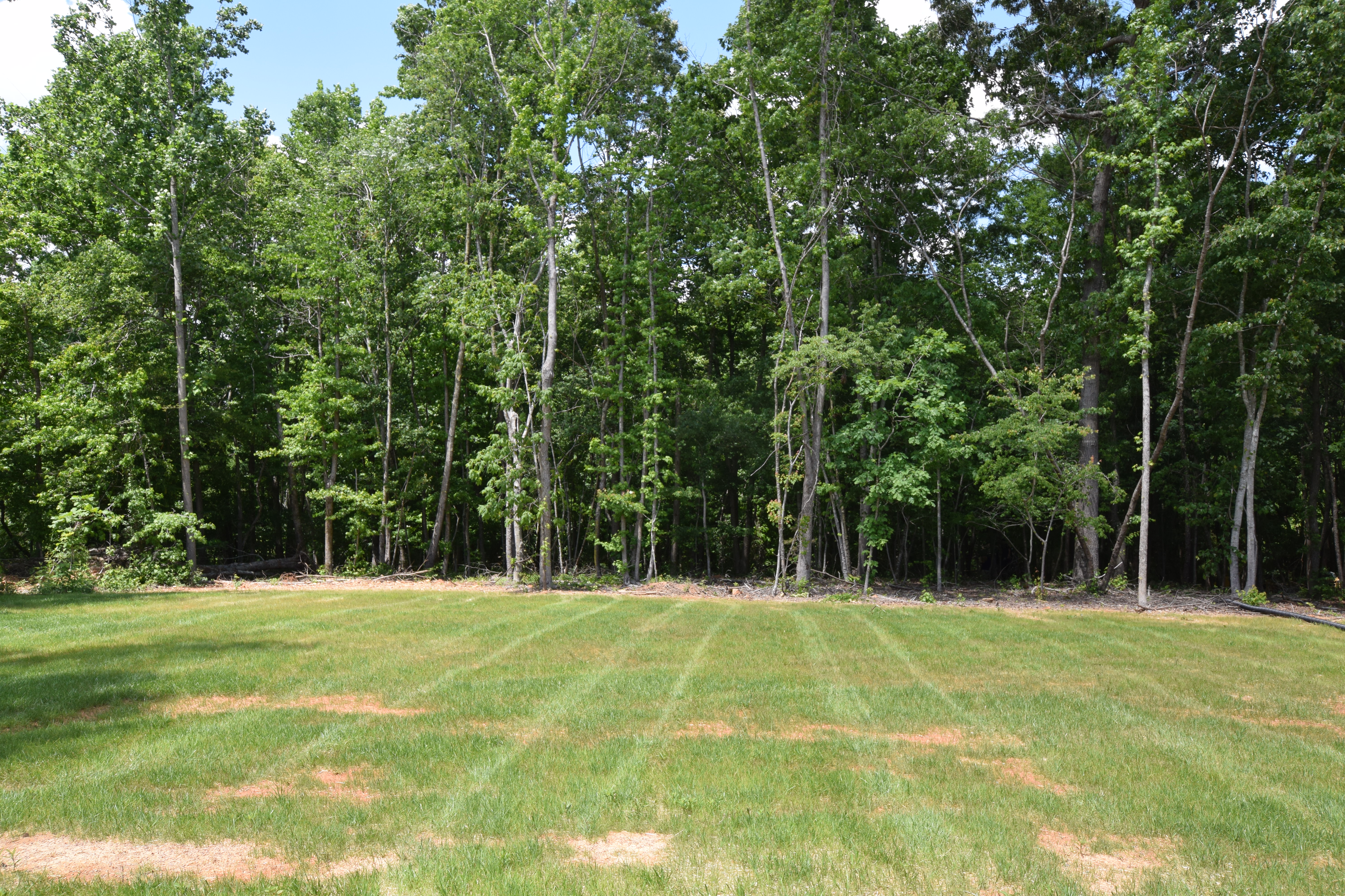 Monroe, North Carolina, 28110, United States, 3 Bedrooms Bedrooms, ,2 BathroomsBathrooms,Residential,For Sale,1888707