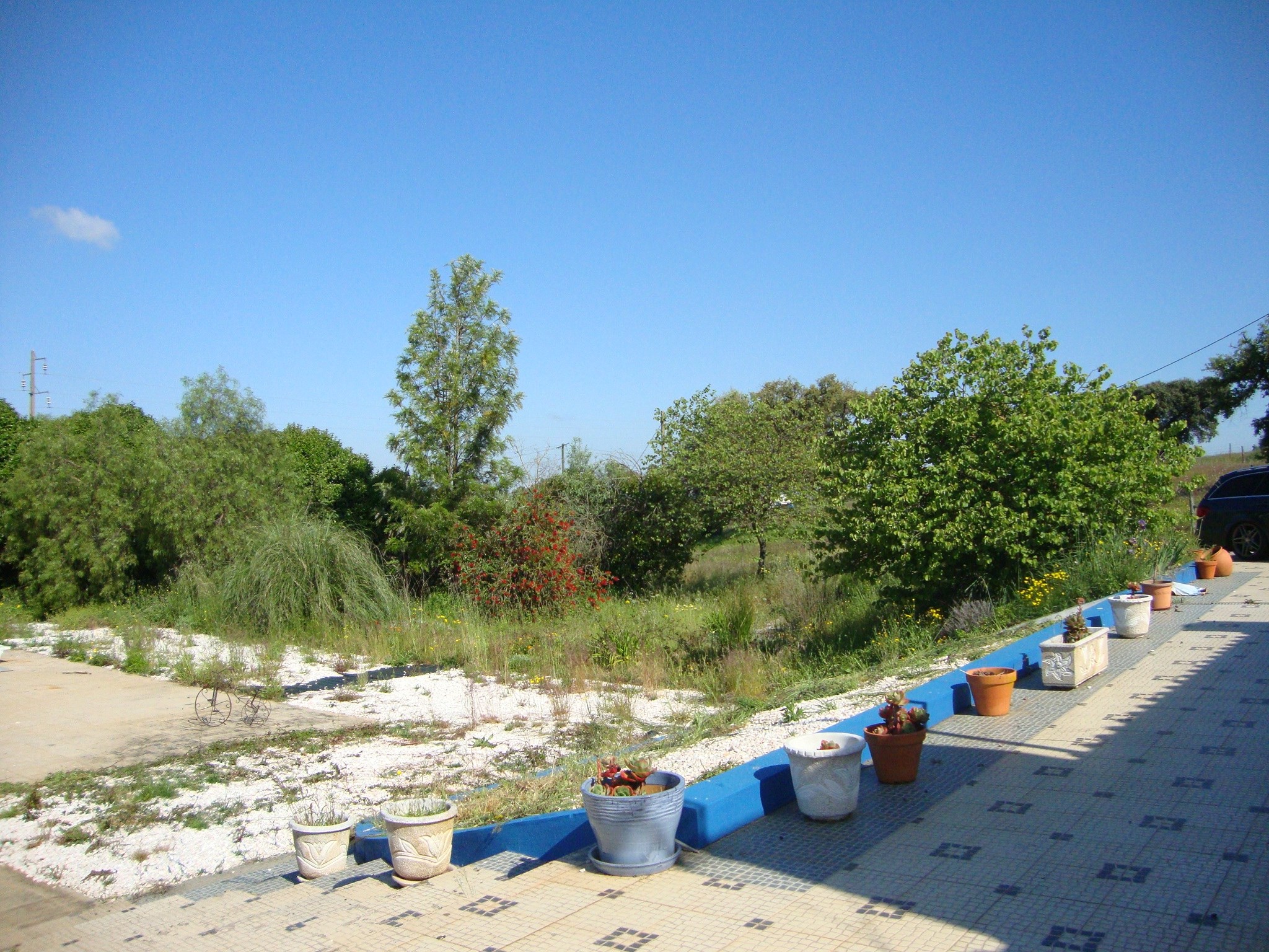 Sousel, Portalegre, 7470-155, PT, ,Residential,For Sale,1829576