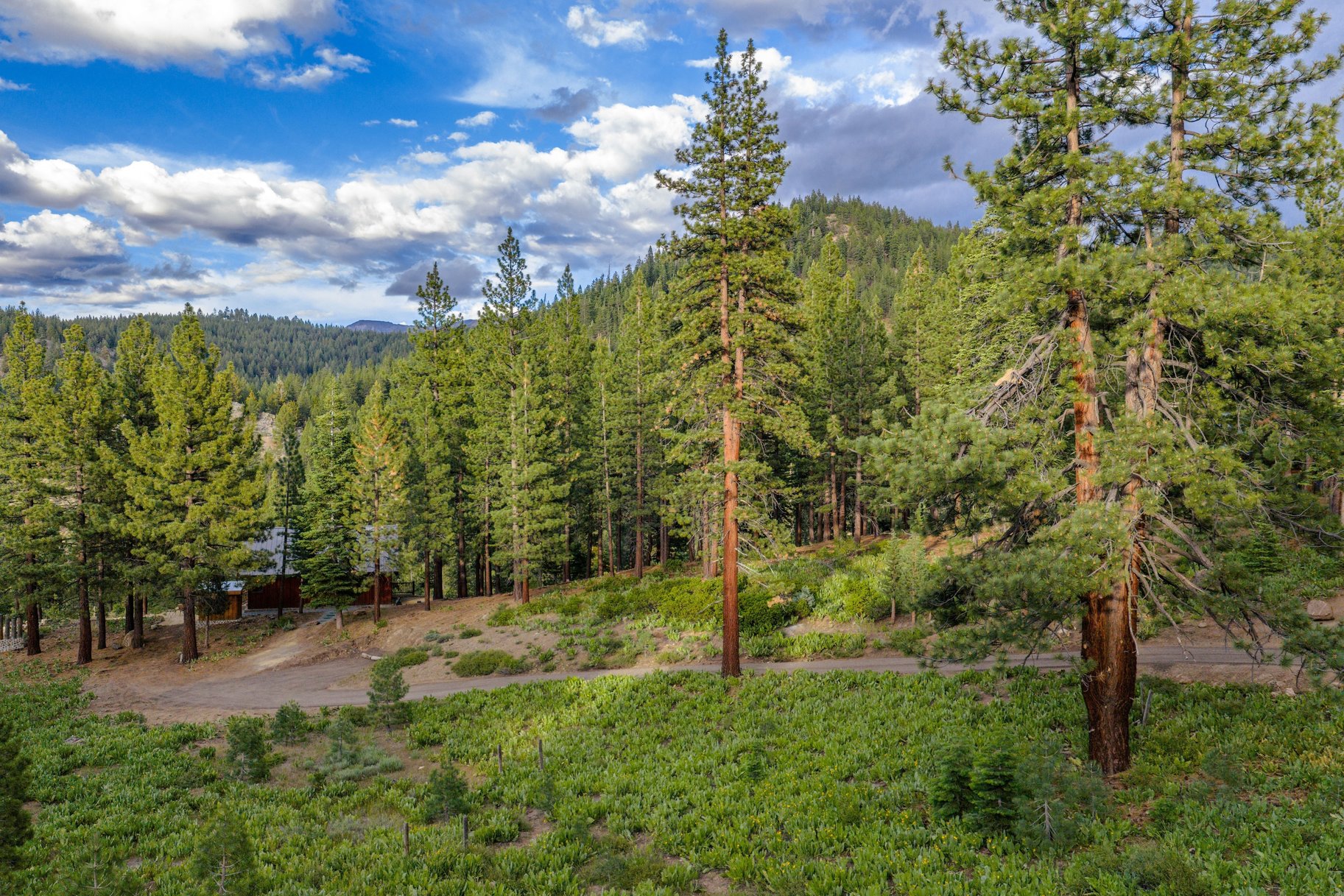  juniper sky lodge, home to where  the heart meets the earth - 物件實景