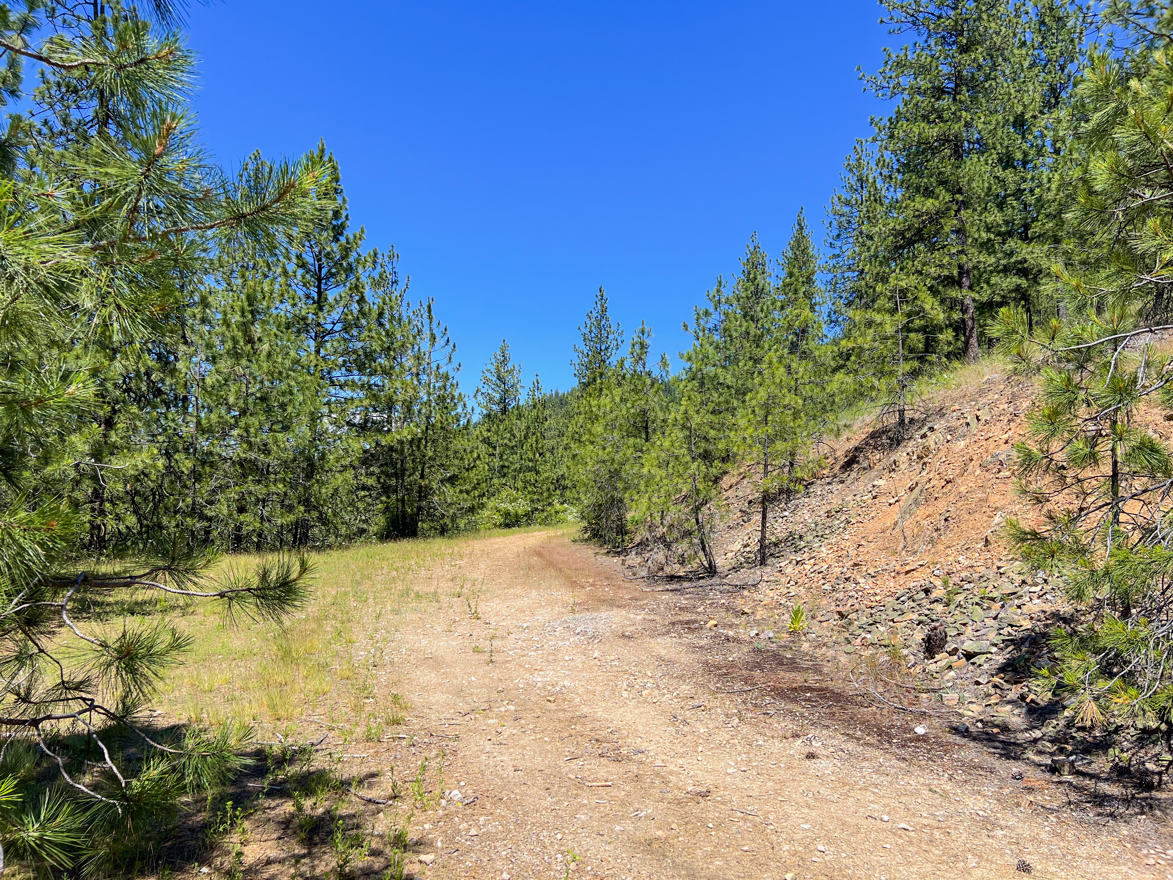 Loon Lake, Washington, 99148, United States, ,Residential,For Sale,1922836