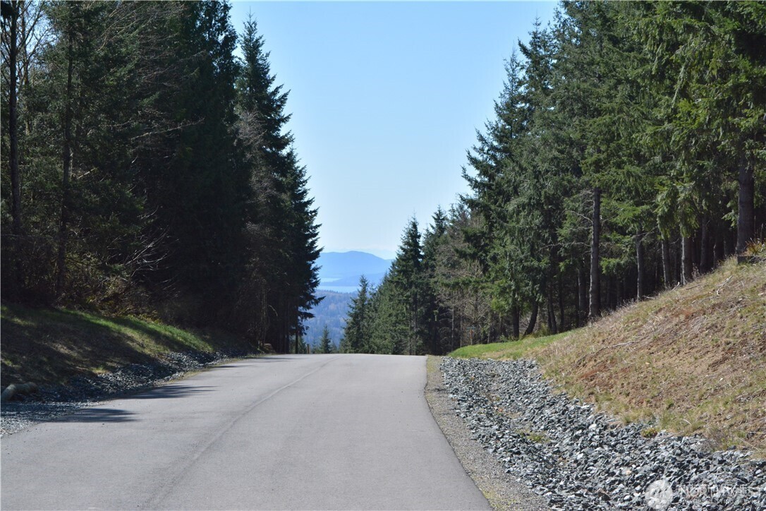 Bellingham, Washington, 98226, United States, ,Land,For Sale,1848281