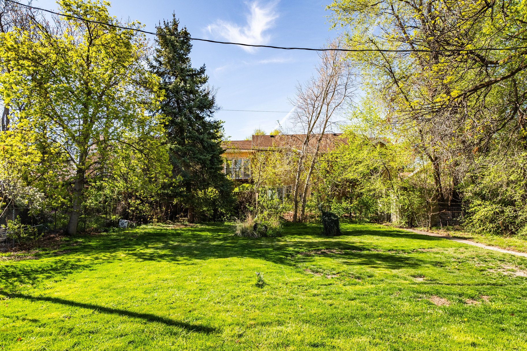 Spacious Home and Large Backyard - 物件實景