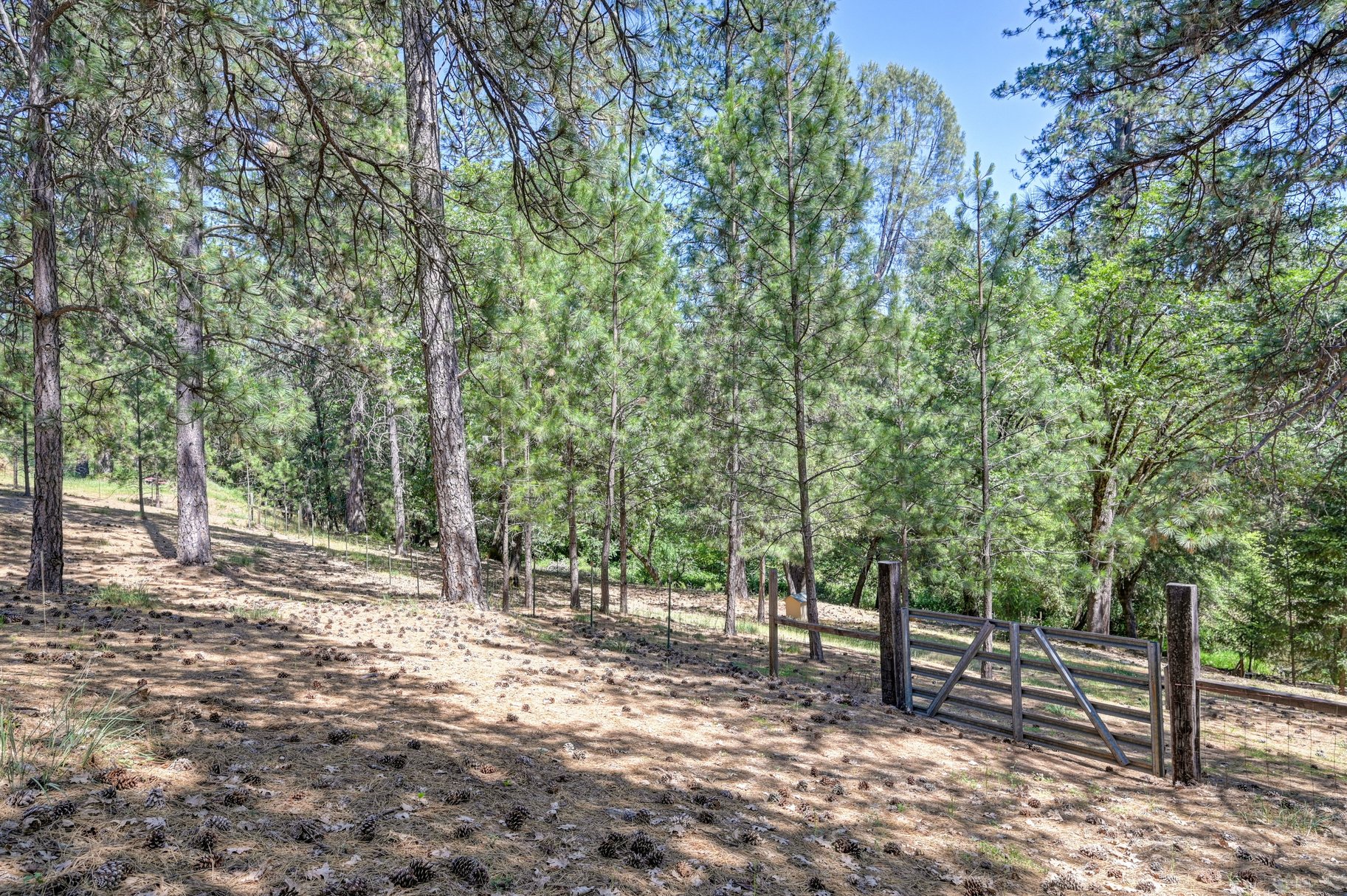  Immaculately Maintained Country Retreat on Acreage with pond - 物件實景