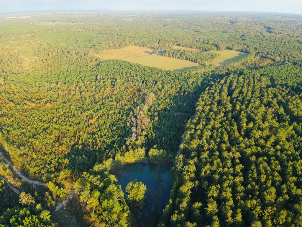 Abbeville, Georgia, 31001, United States, ,Land,For Sale,1975130