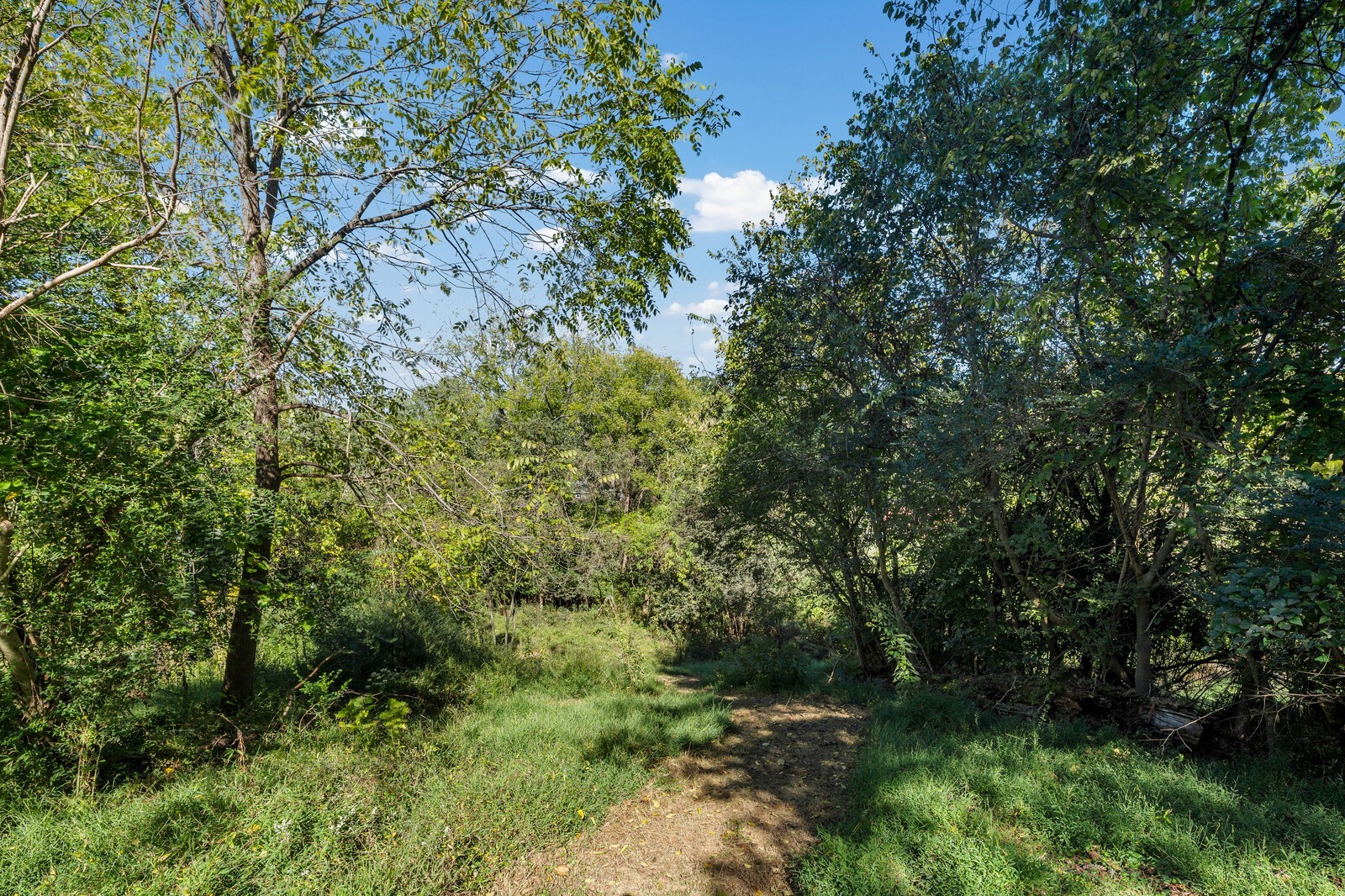 Nashville, Tennessee, 37206, United States, 4 Bedrooms Bedrooms, ,7 BathroomsBathrooms,Residential,For Sale,1989518