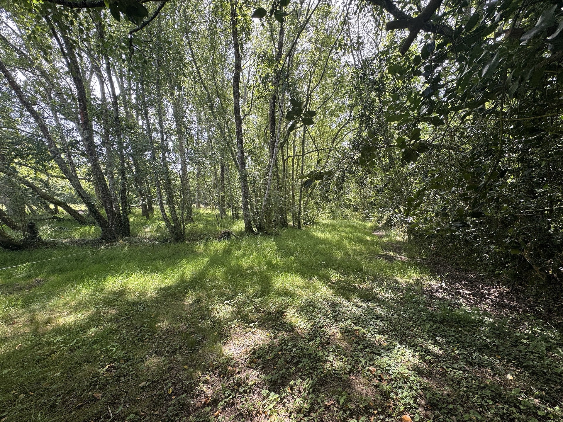  CLOHARS-FOUESNANT, LARGE QUIET PLOT OF LAND - 物件實景