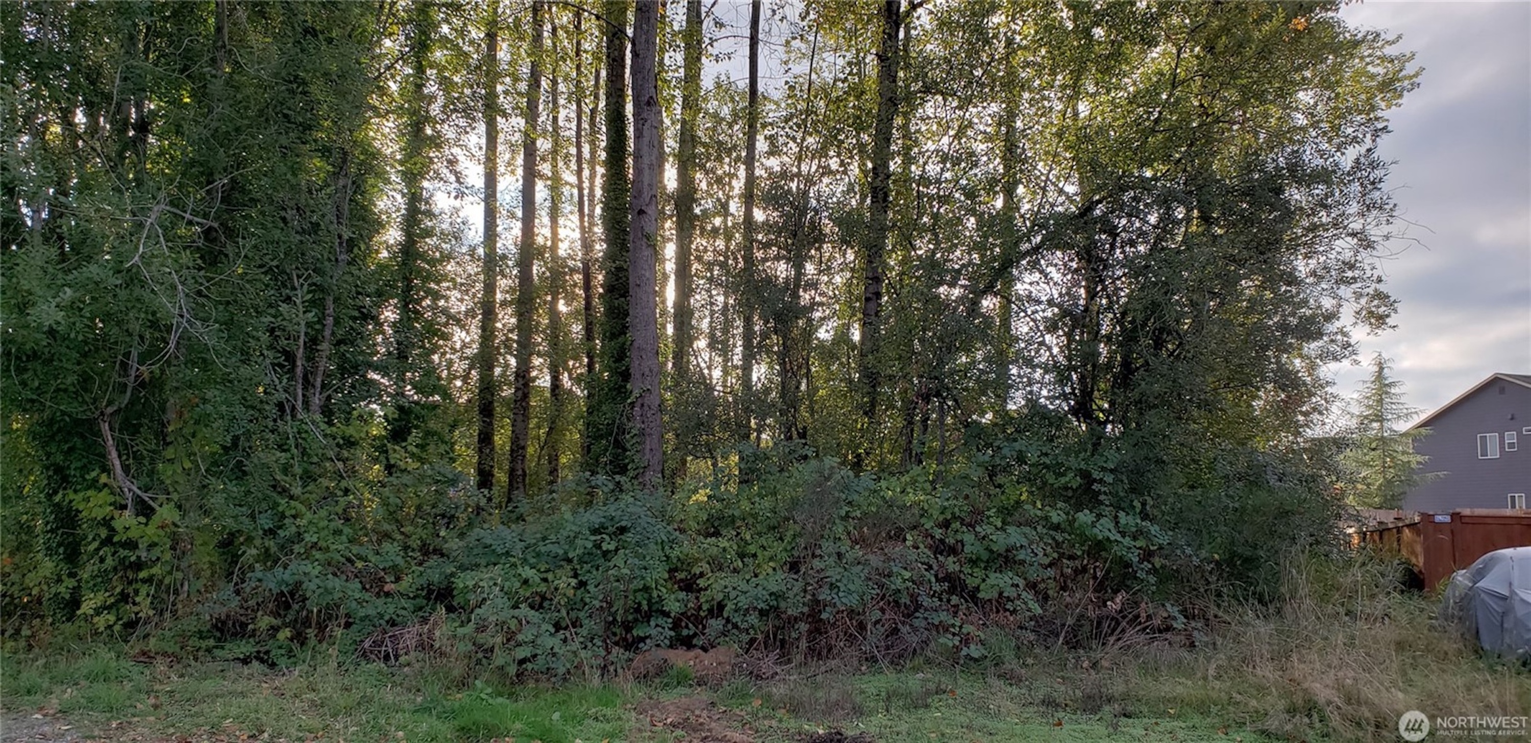  Unique Opportunity in Tukwila - 物件實景