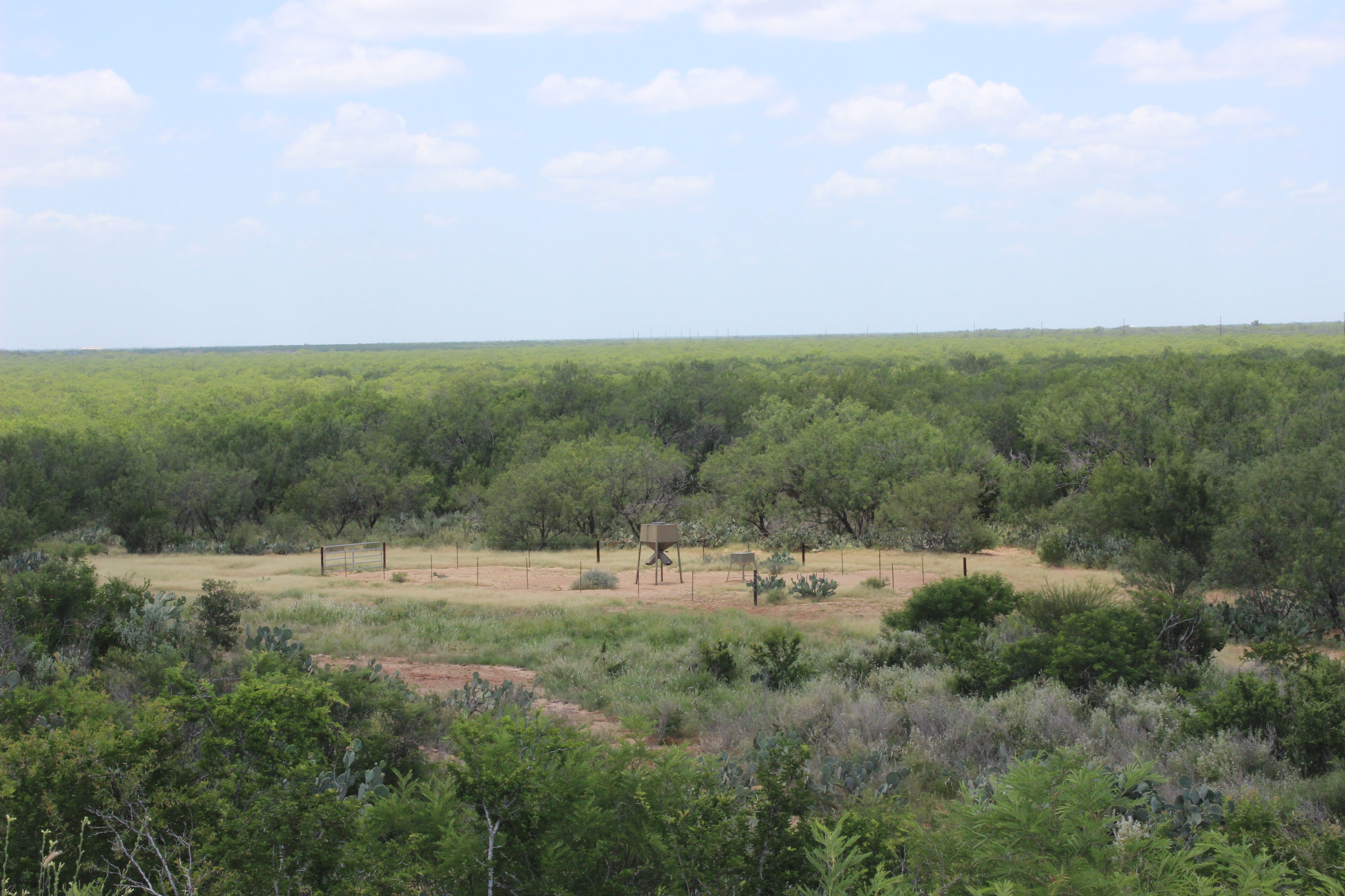  644+/- Acre Asherton Vista - 物件實景
