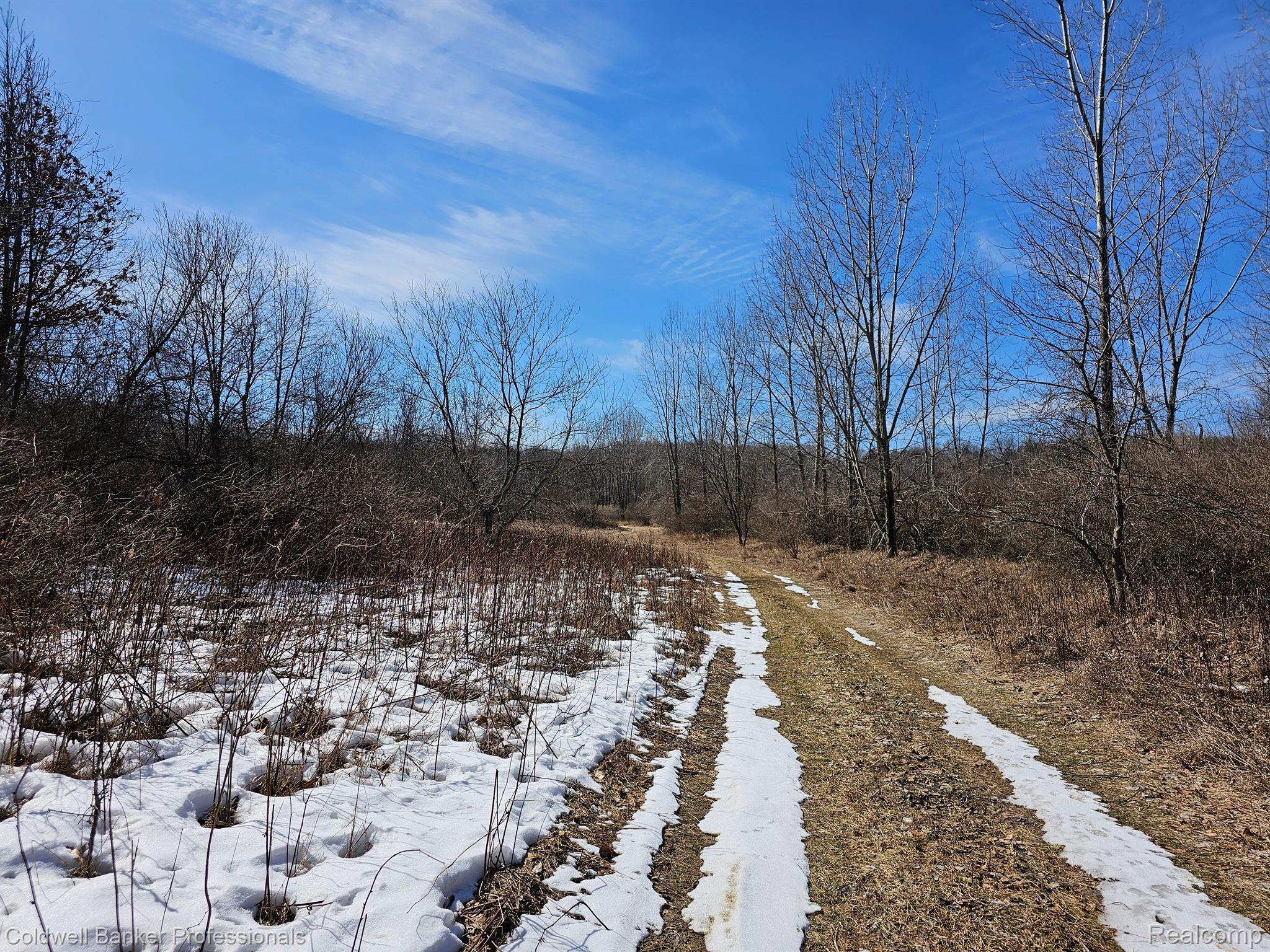 Metamora, Michigan, 48455, United States, ,Land,For Sale,1736755