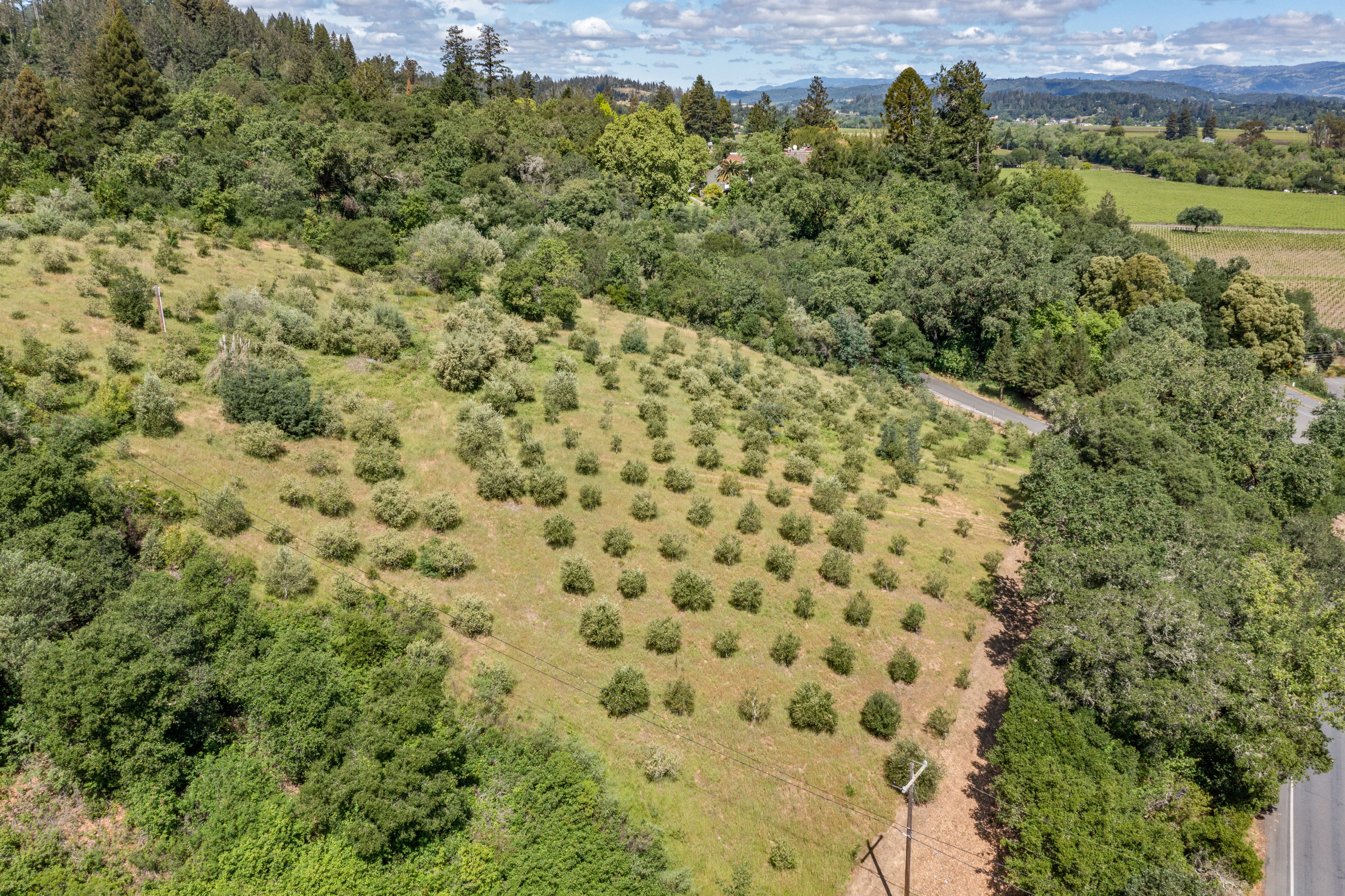  1077 Westside Road, Healdsburg, CA 95448 - 物件實景