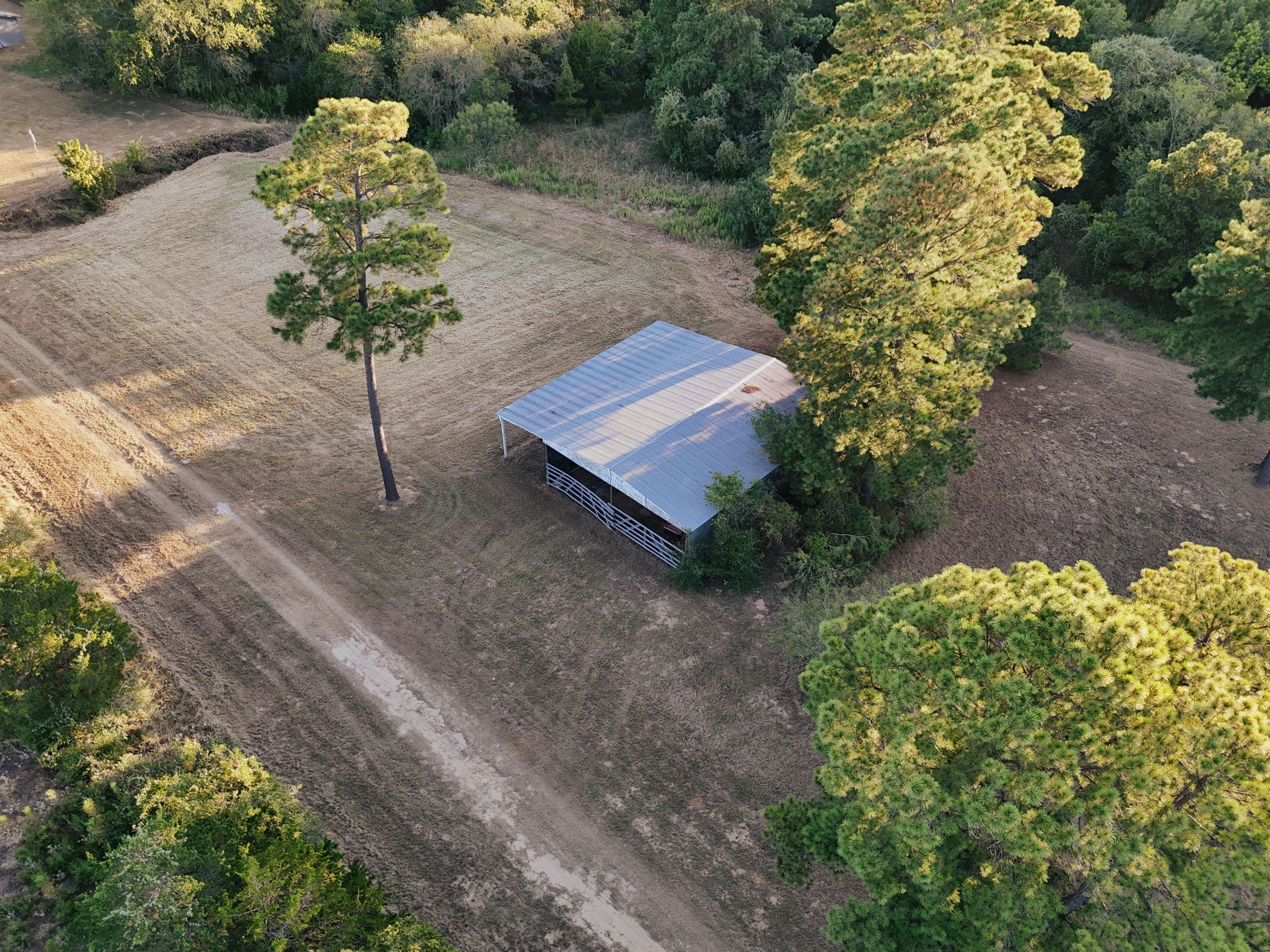  Piney Creek Ranch in Bastrop County - 物件實景