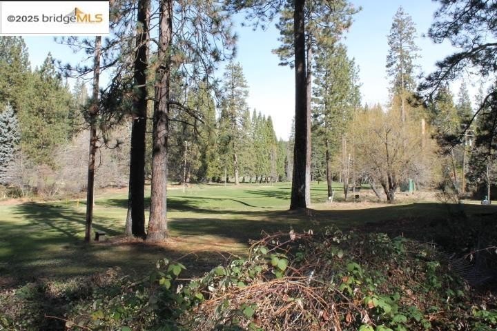 Twain Harte, California, 95383, United States, 5 Bedrooms Bedrooms, ,3 BathroomsBathrooms,Residential,For Sale,1945017