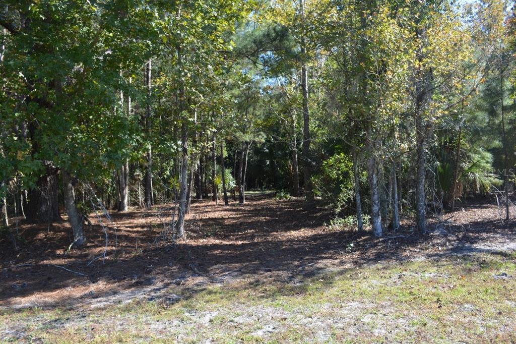 Sanford, Florida, 32773, United States, ,Land,For Sale,1987674