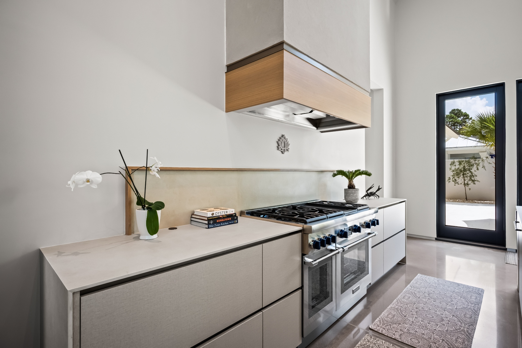  700 Stucco Lane, Mount Pleasant - 物件實景