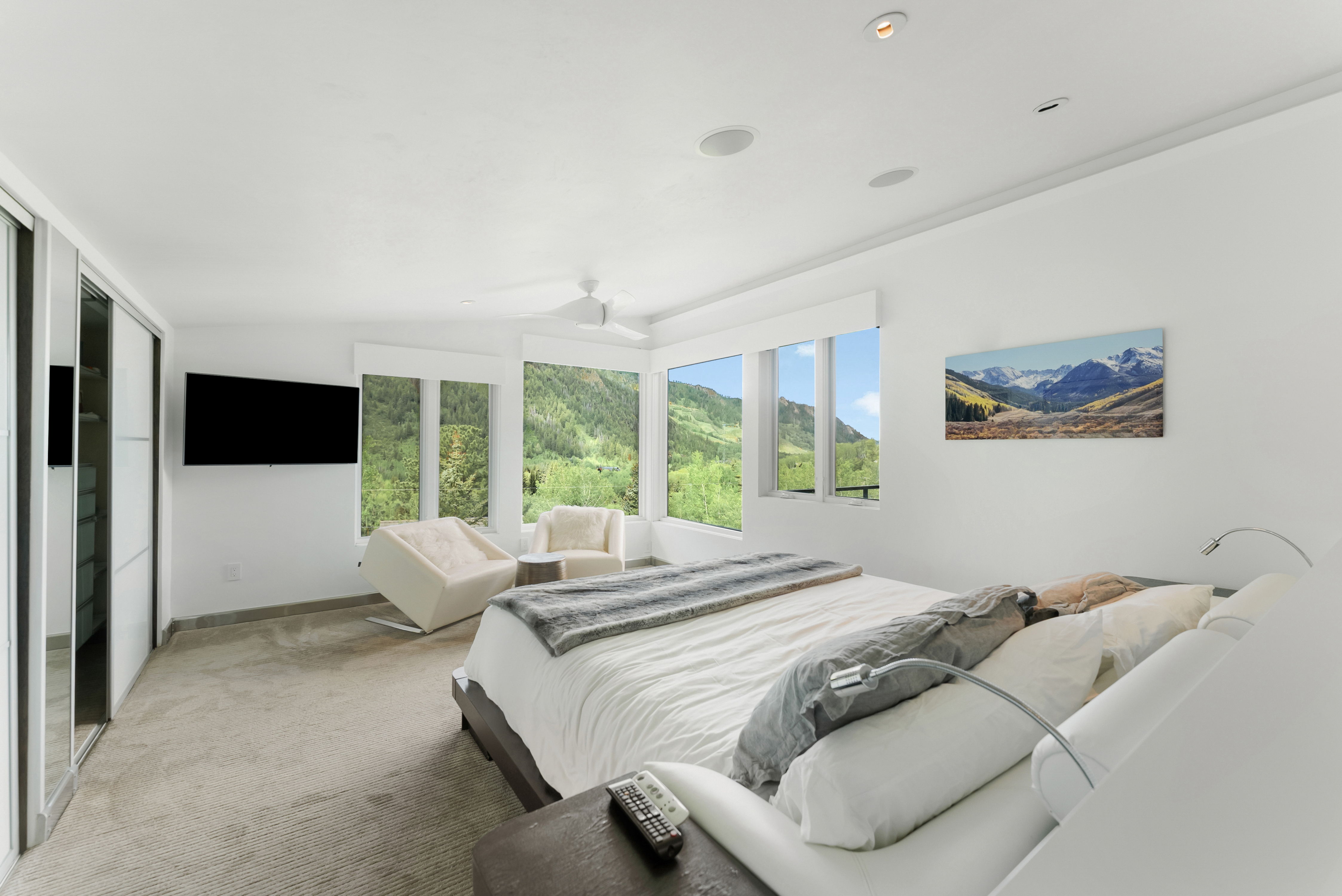  257 Mountain Laurel Drive, Aspen, CO, 81611 - 物件實景
