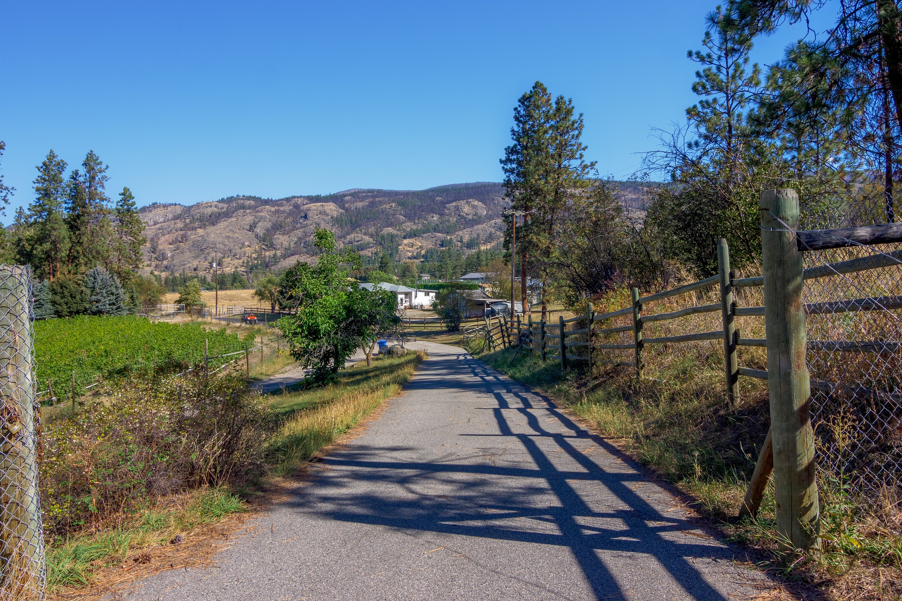 Vineyard in Okanagan Falls - 物件實景