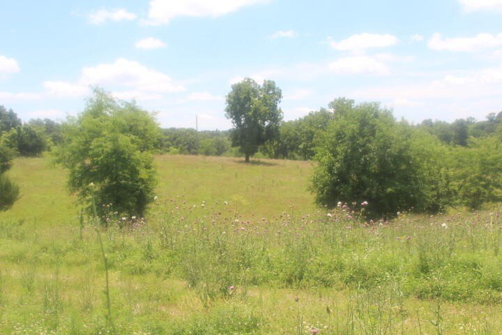 Polk, Missouri, 65727, United States, ,Land,For Sale,1980569