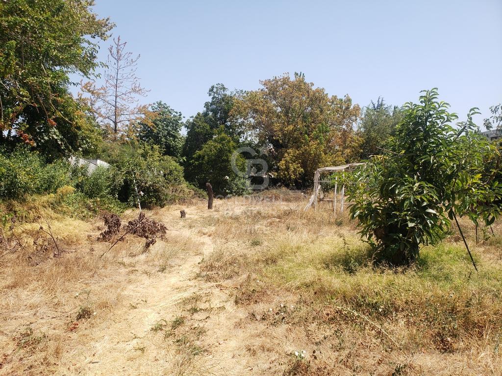 La Reina, Chile, ,Land,For Sale,1829453