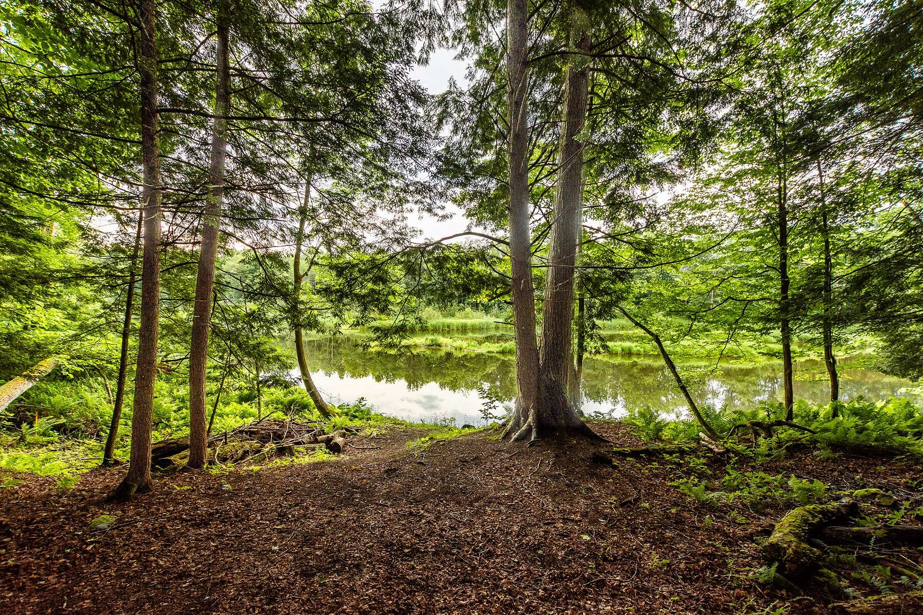  Bromont, Eastern Townships - 物件實景