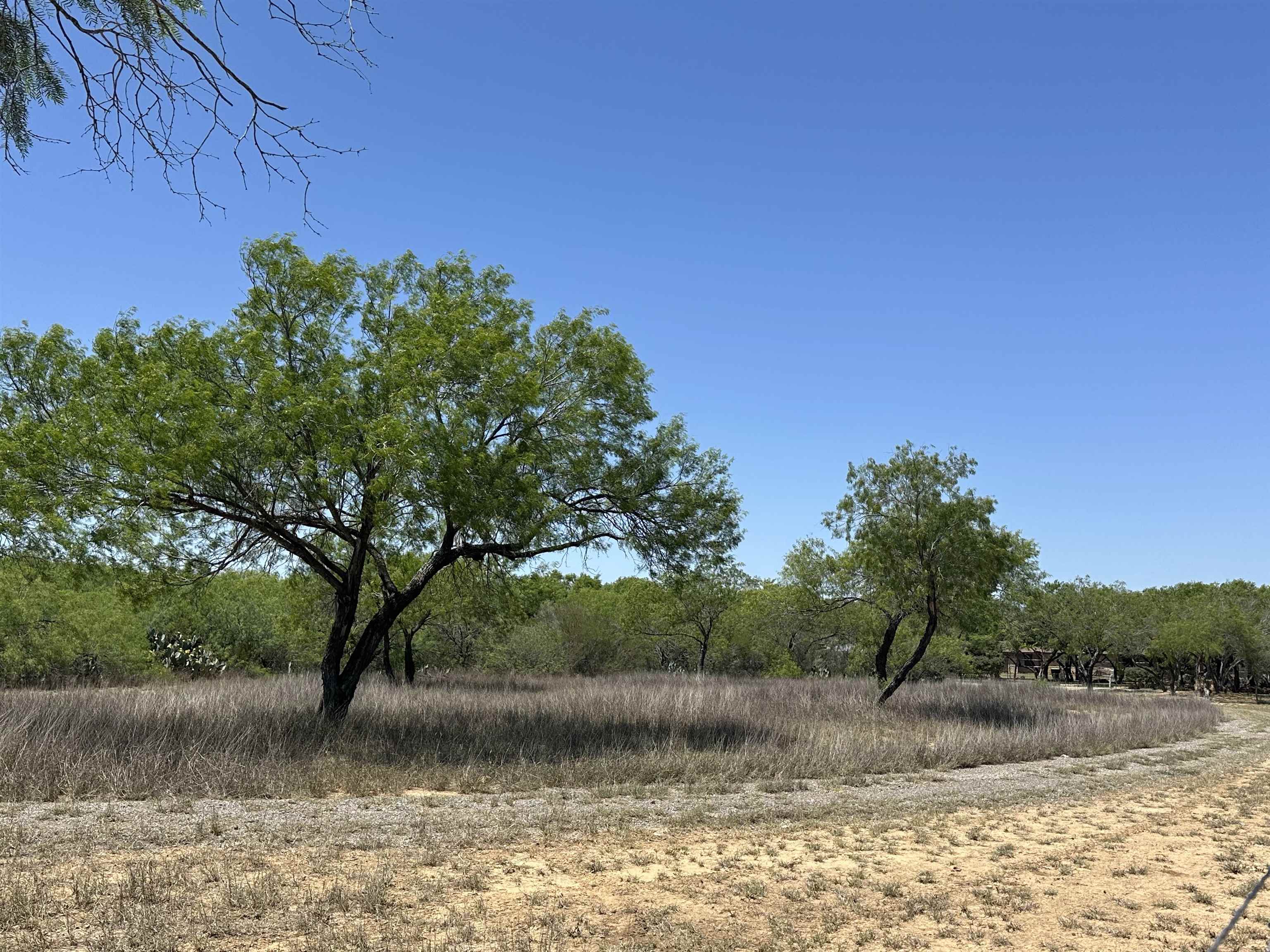 Laredo, Texas, 78045, United States, ,Land,For Sale,1770217
