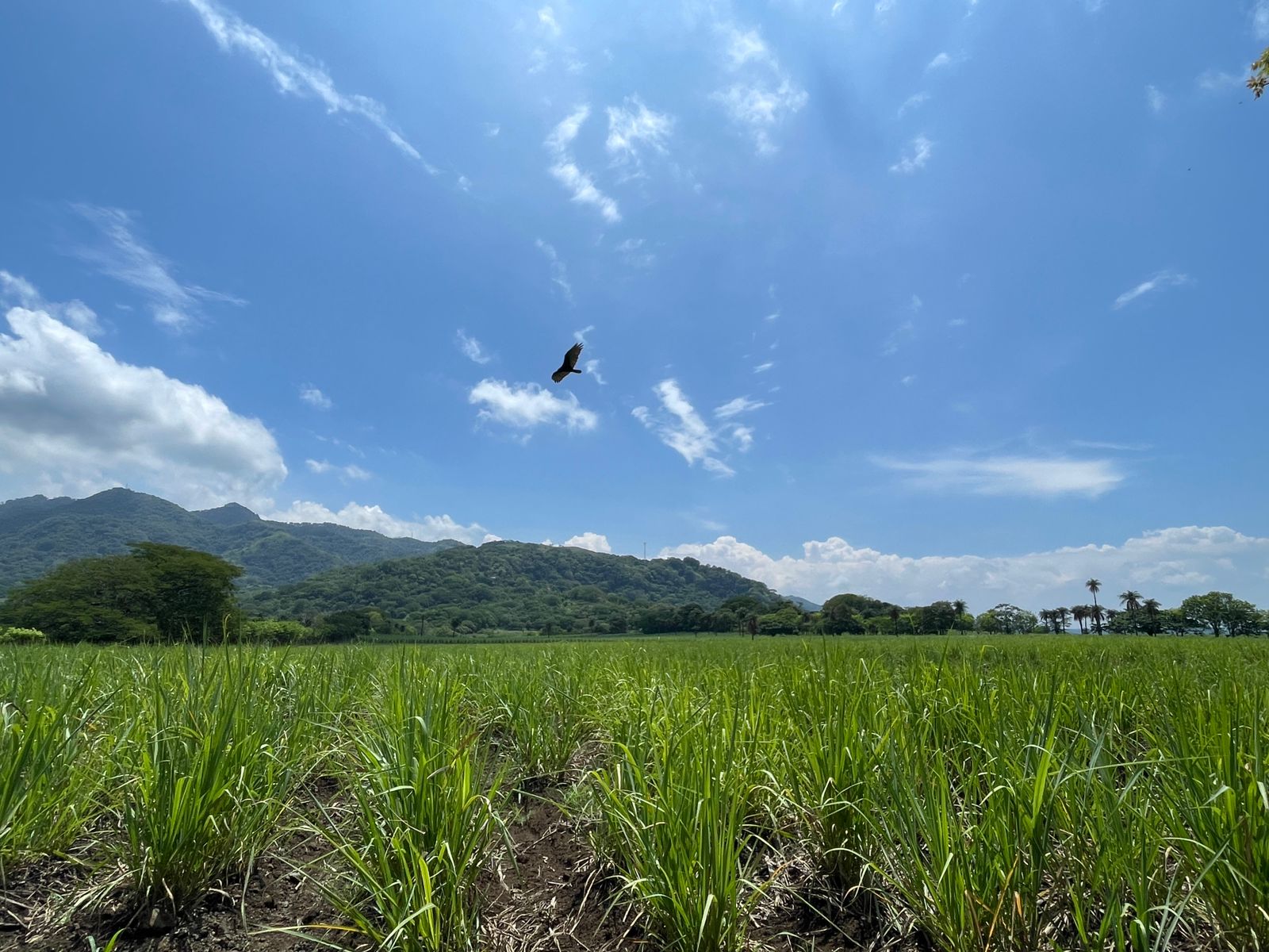 Escobal, Atenas, Atenas, Alajuela, CR, ,Land,For Sale,Escobal, Atenas,1627461