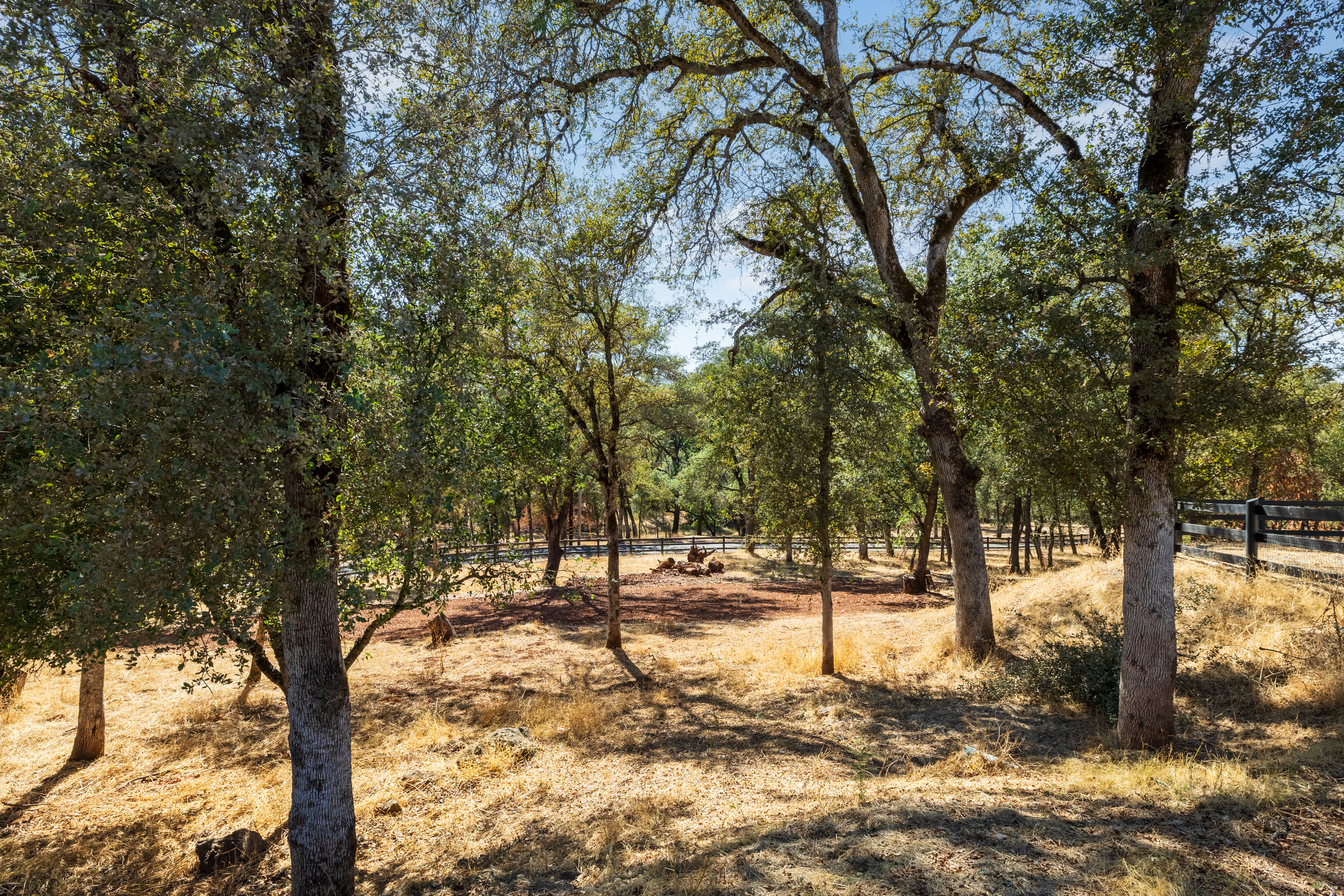  1400 Crooked Mile Court, Placerville, CA 95667 - 物件實景