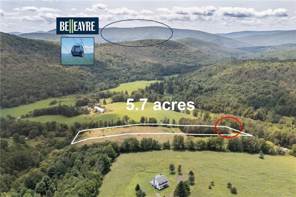 Turkey Ridge Rd, Fleischmanns, NY 12430 #1