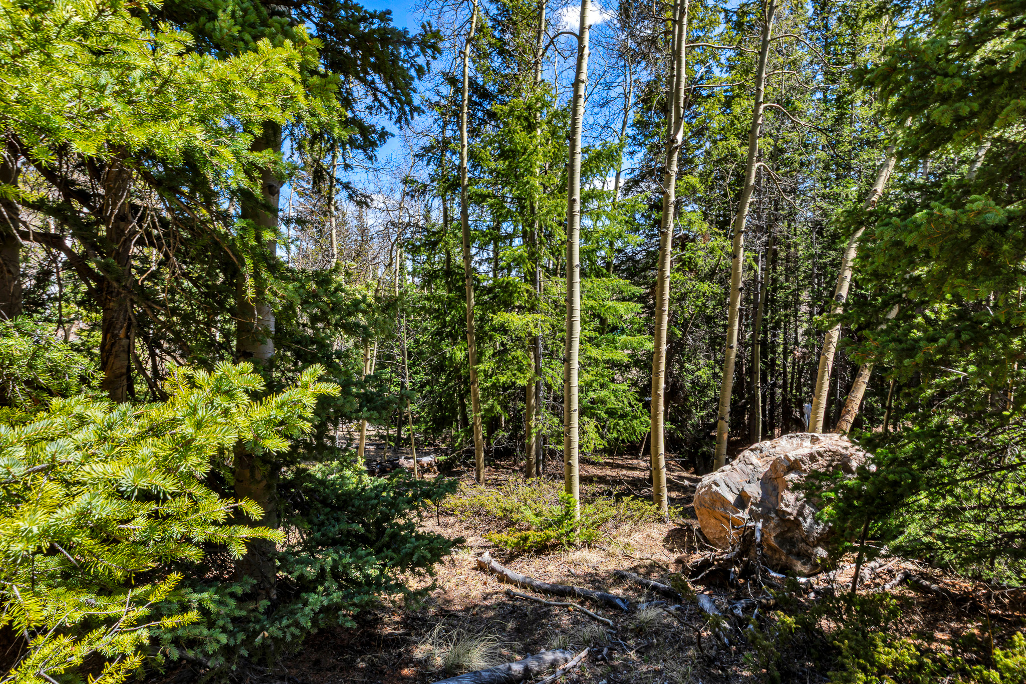  270 Co Rd 667, Alma, CO, 80440 - 物件實景