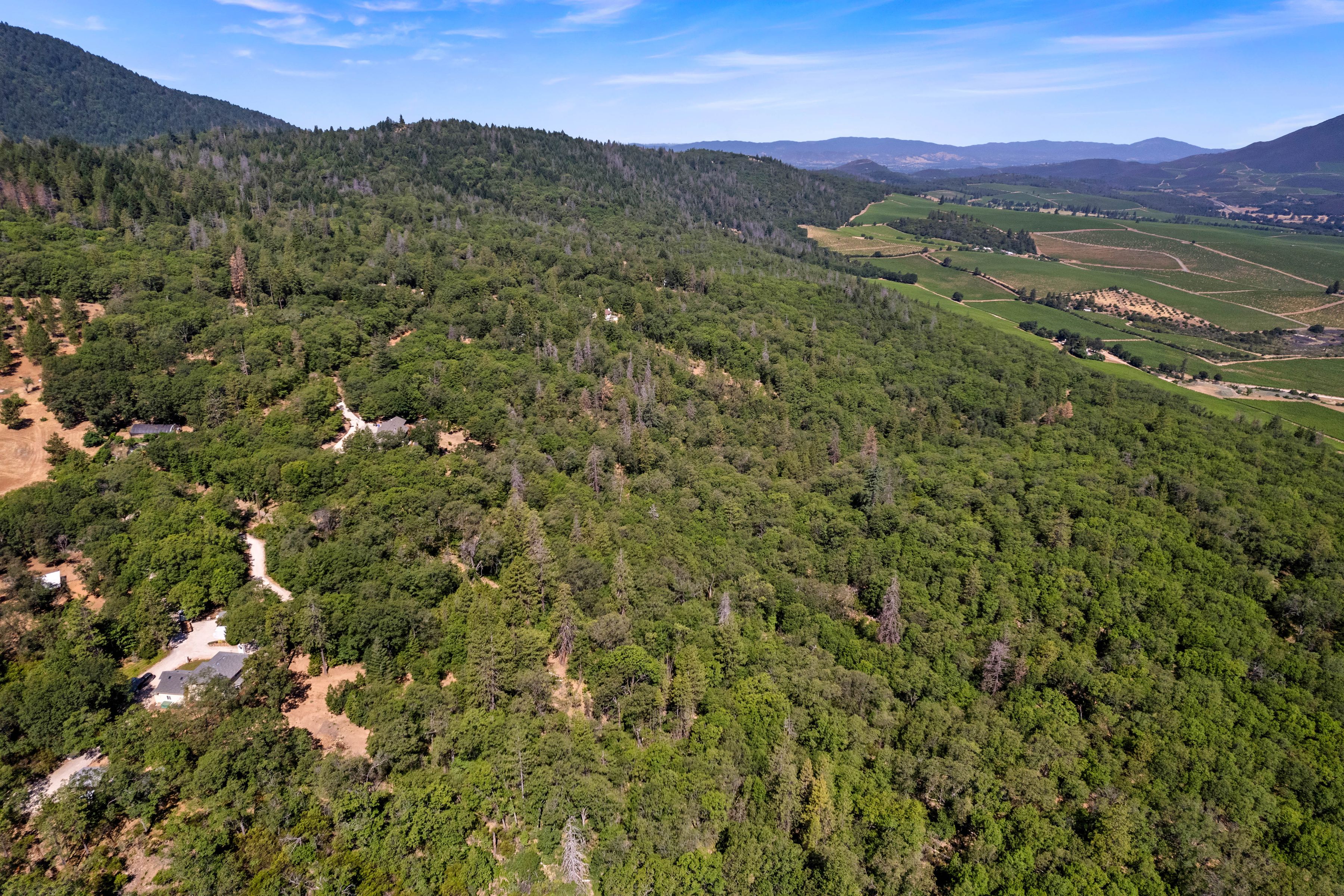  10550 Seigler Springs North Road - 物件實景