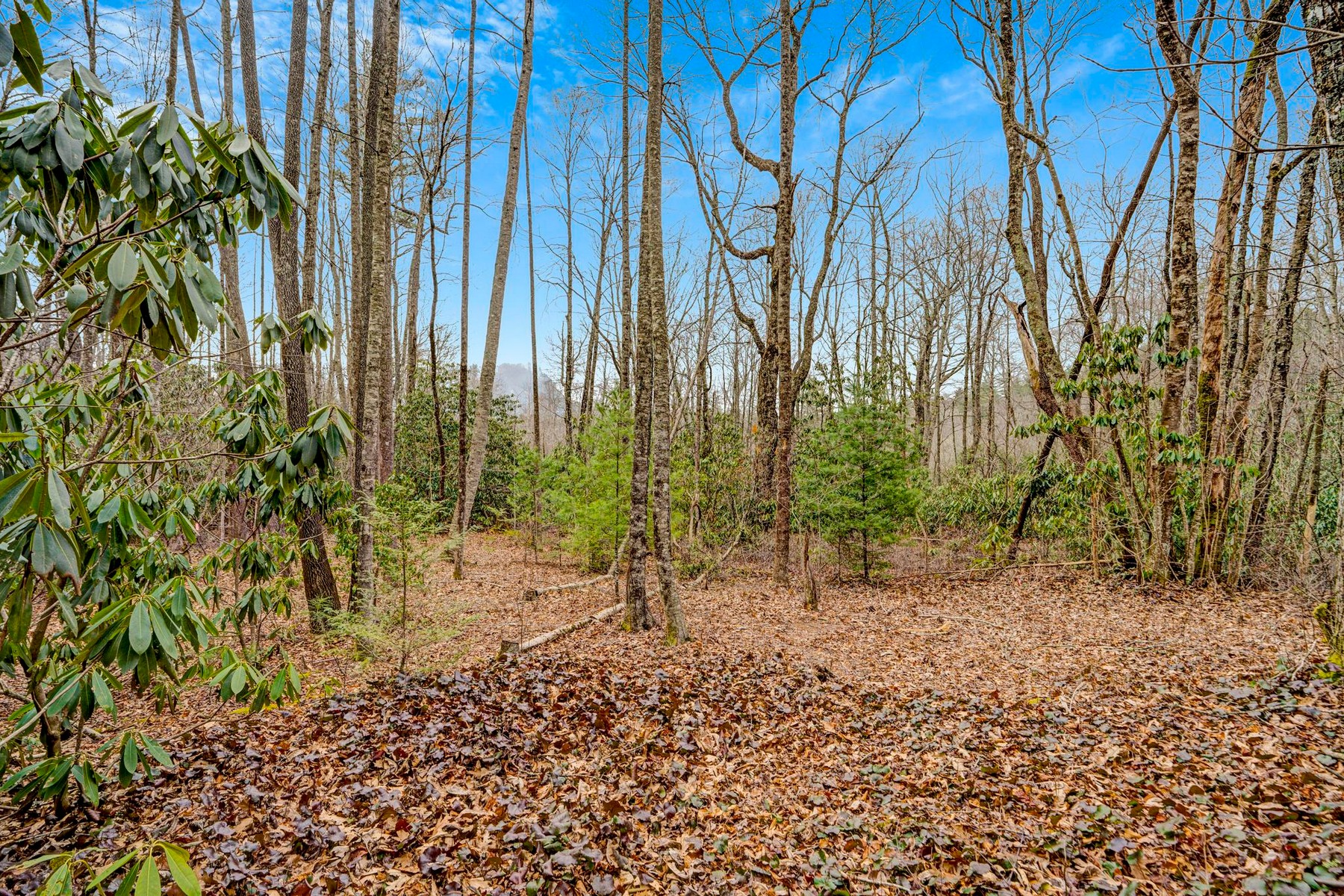  Lot 21 Hardscrabble Ridge Road - 物件實景