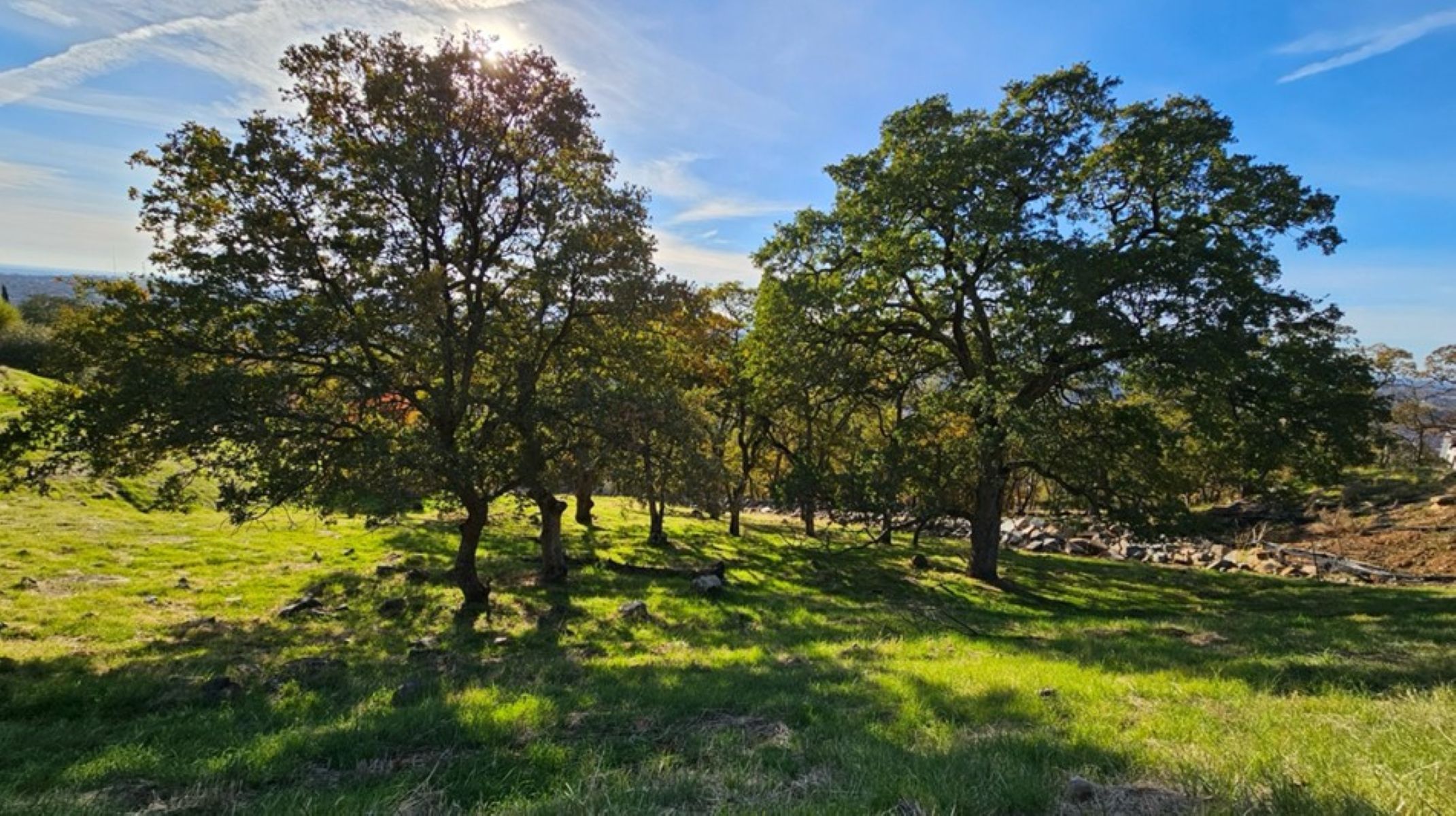  2680 Via Fiori, El Dorado Hills, CA 95762 - 物件實景