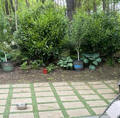 South Setauket, New York, 11720, United States, 3 Bedrooms Bedrooms, ,3 BathroomsBathrooms,Residential,For Sale,1937131