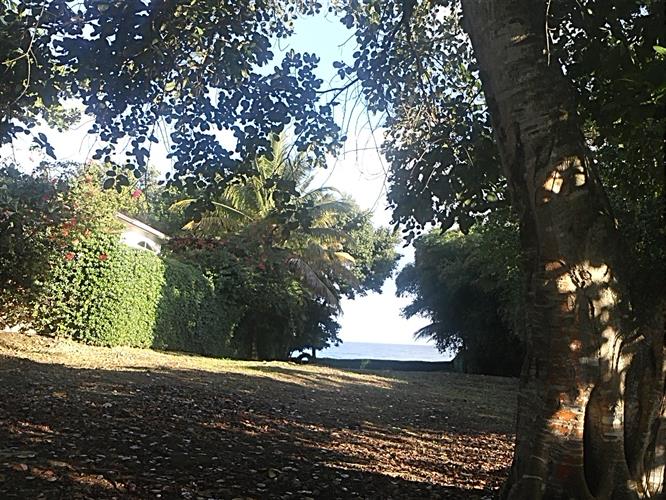 Sosua, DO, ,Land,For Sale,1164552