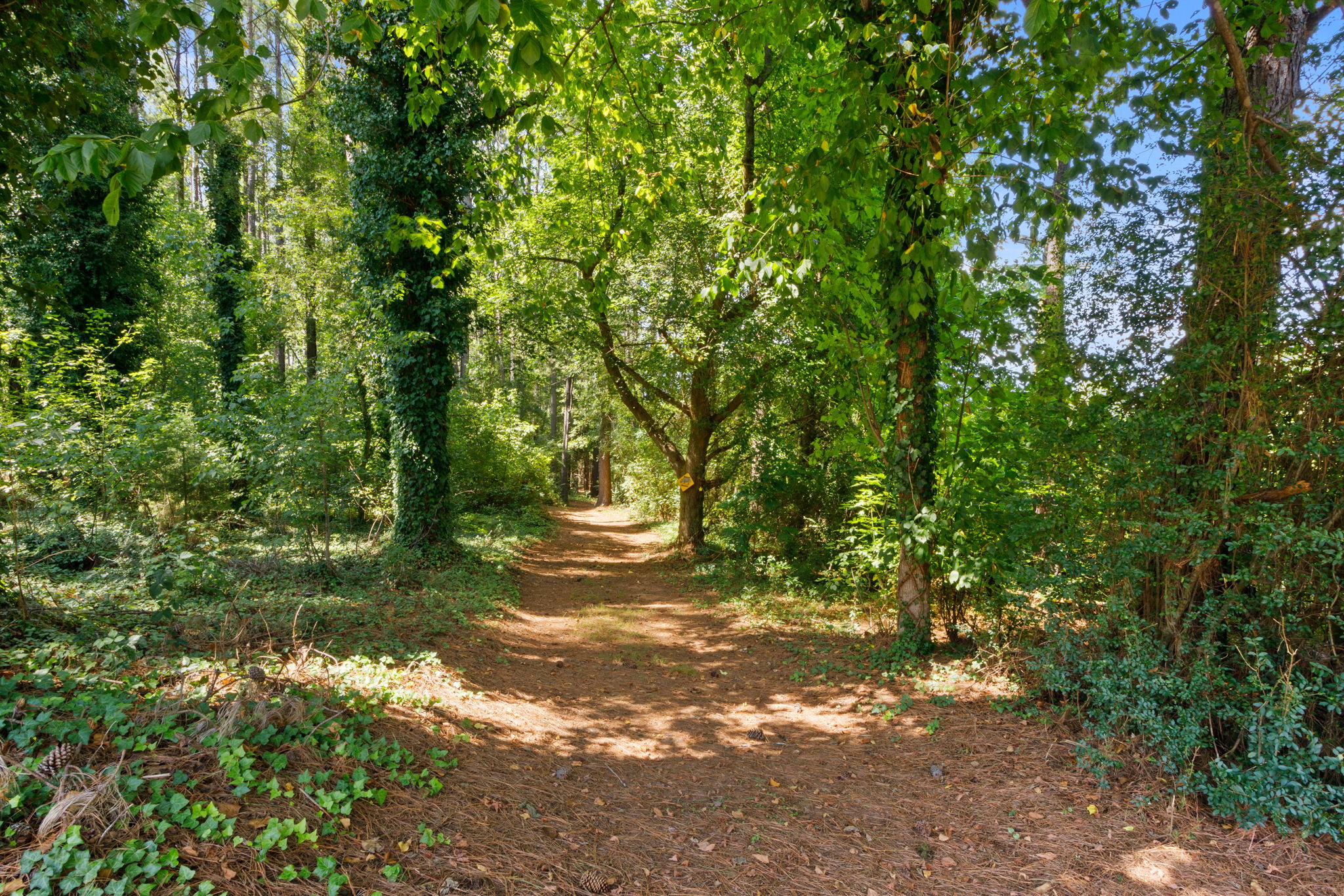  1929 Fairview Road, Fountain Inn, SC 29644 - 物件實景