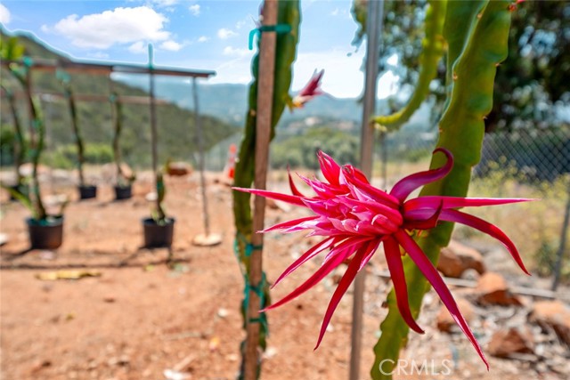 Fallbrook, California, 92028, United States, 2 Bedrooms Bedrooms, ,3 BathroomsBathrooms,Residential,For Sale,1979251