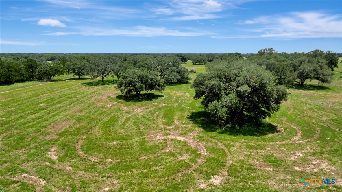 13320 US Highway 77, Hallettsville, Texas, 77964, United States, ,Land,For Sale,13320 US Highway 77,1614755