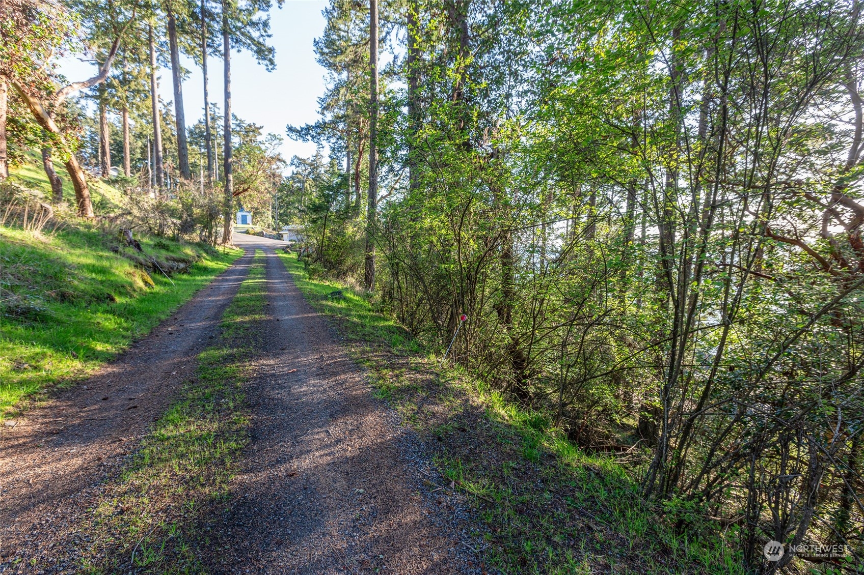 Friday Harbor, Washington, 98250, United States, ,Land,For Sale,1752518