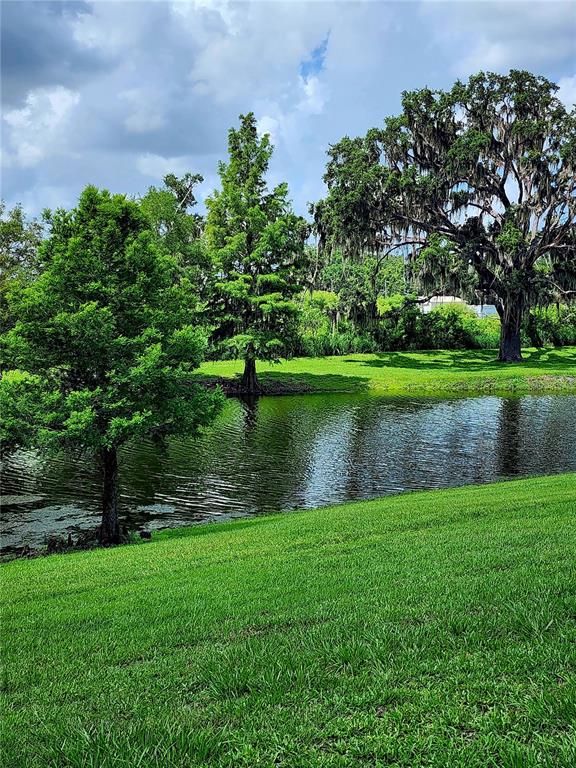 Winter Garden, Florida, 34787, United States, 5 Bedrooms Bedrooms, ,4 BathroomsBathrooms,Residential,For Sale,1868567