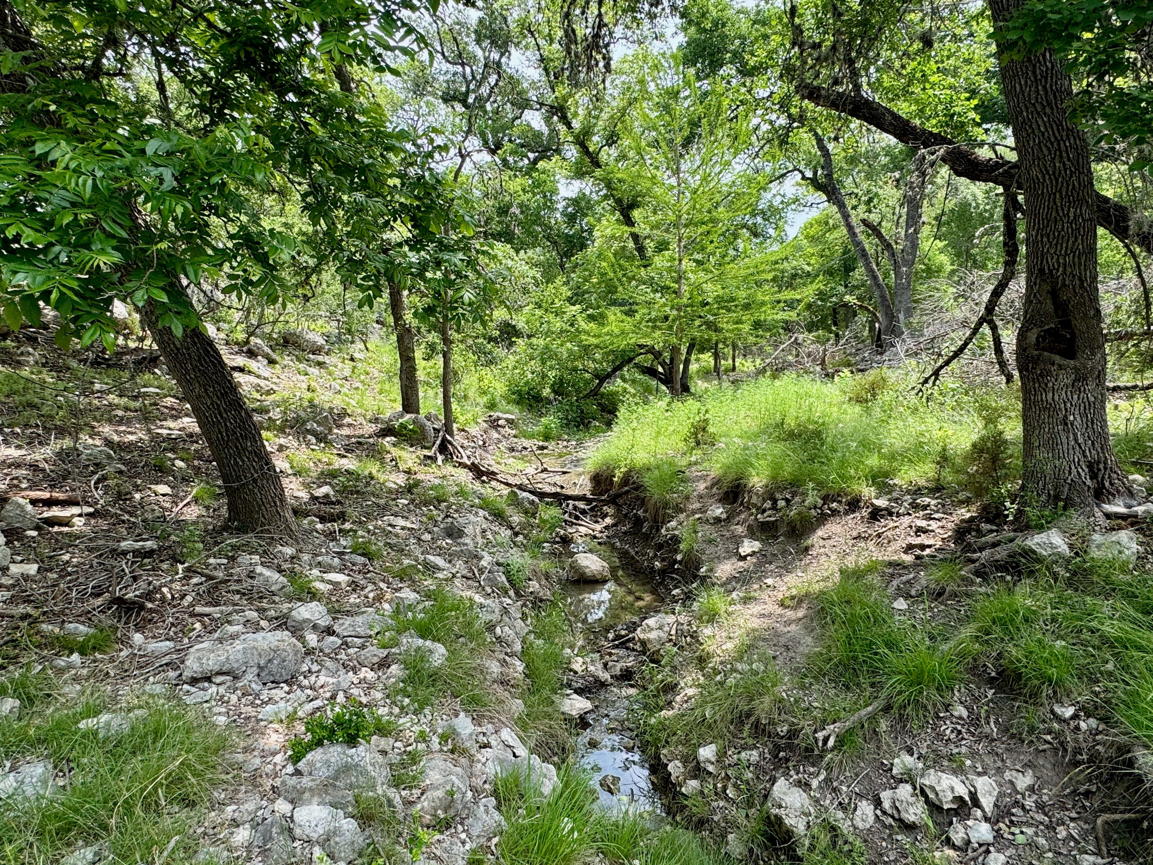  Rolling Oaks Ranch: The Pinnacle of Private Estate Living - 物件實景