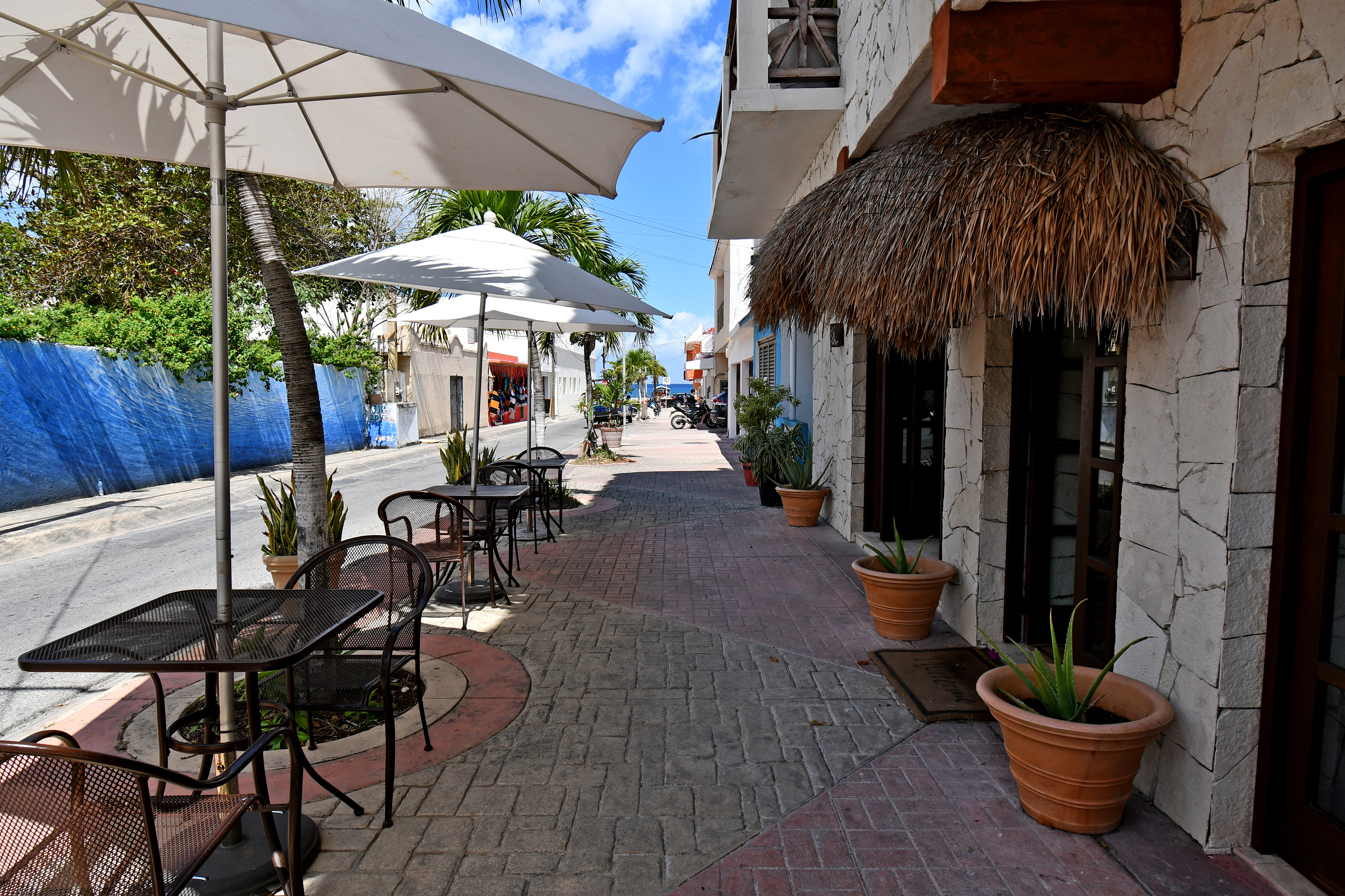  Oceanview  Tropical Heritage in Cozumel - 物件實景