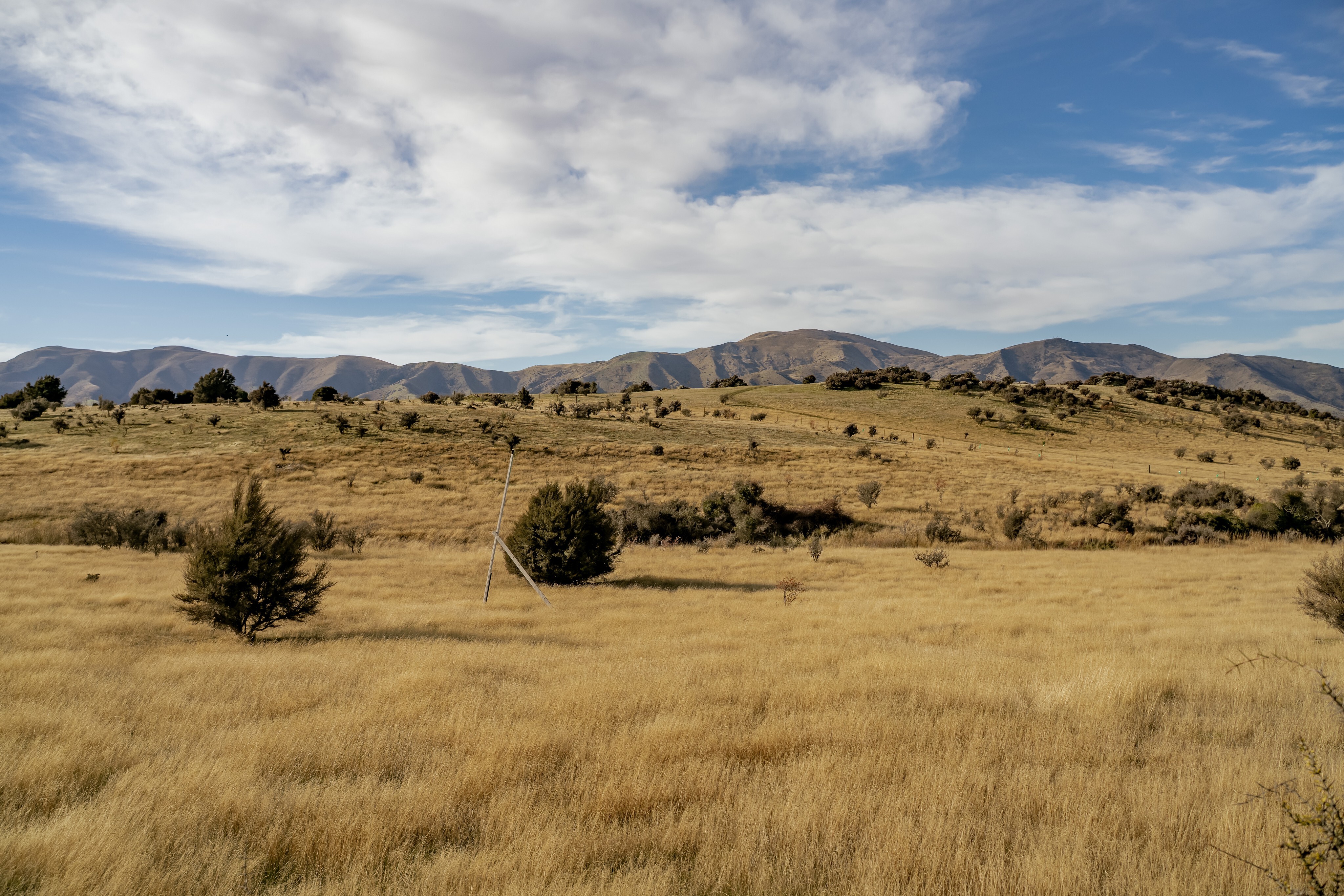  Paradise Found - 物件實景