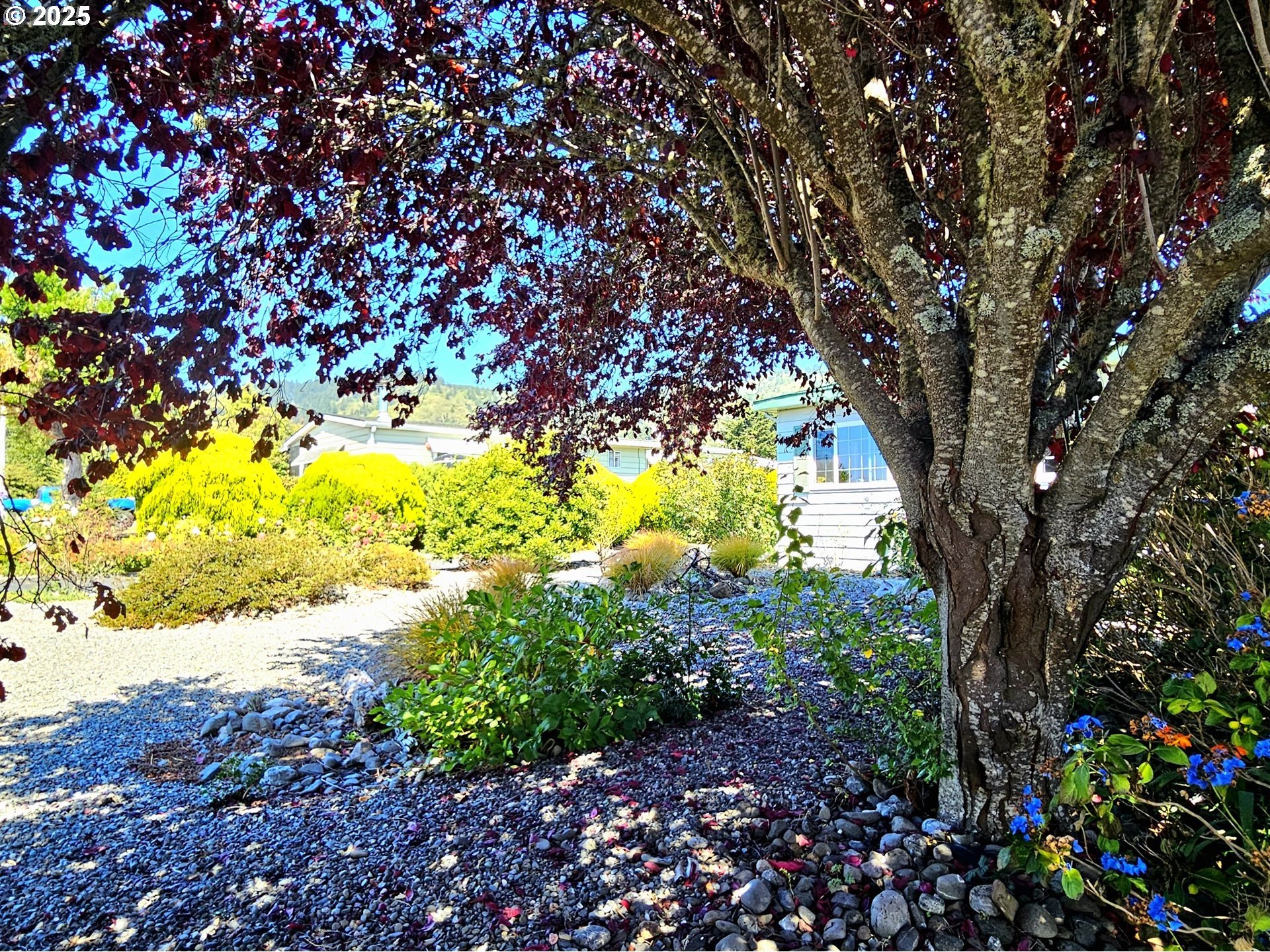 Brookings, Oregon, 97415, United States, 2 Bedrooms Bedrooms, ,2 BathroomsBathrooms,Residential,For Sale,1943176