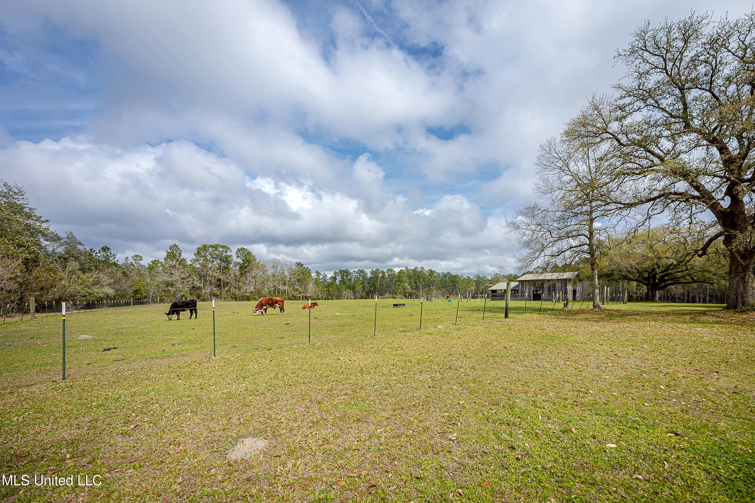 Vancleave, Mississippi, 39565, United States, 4 Bedrooms Bedrooms, ,2 BathroomsBathrooms,Residential,For Sale,1927401